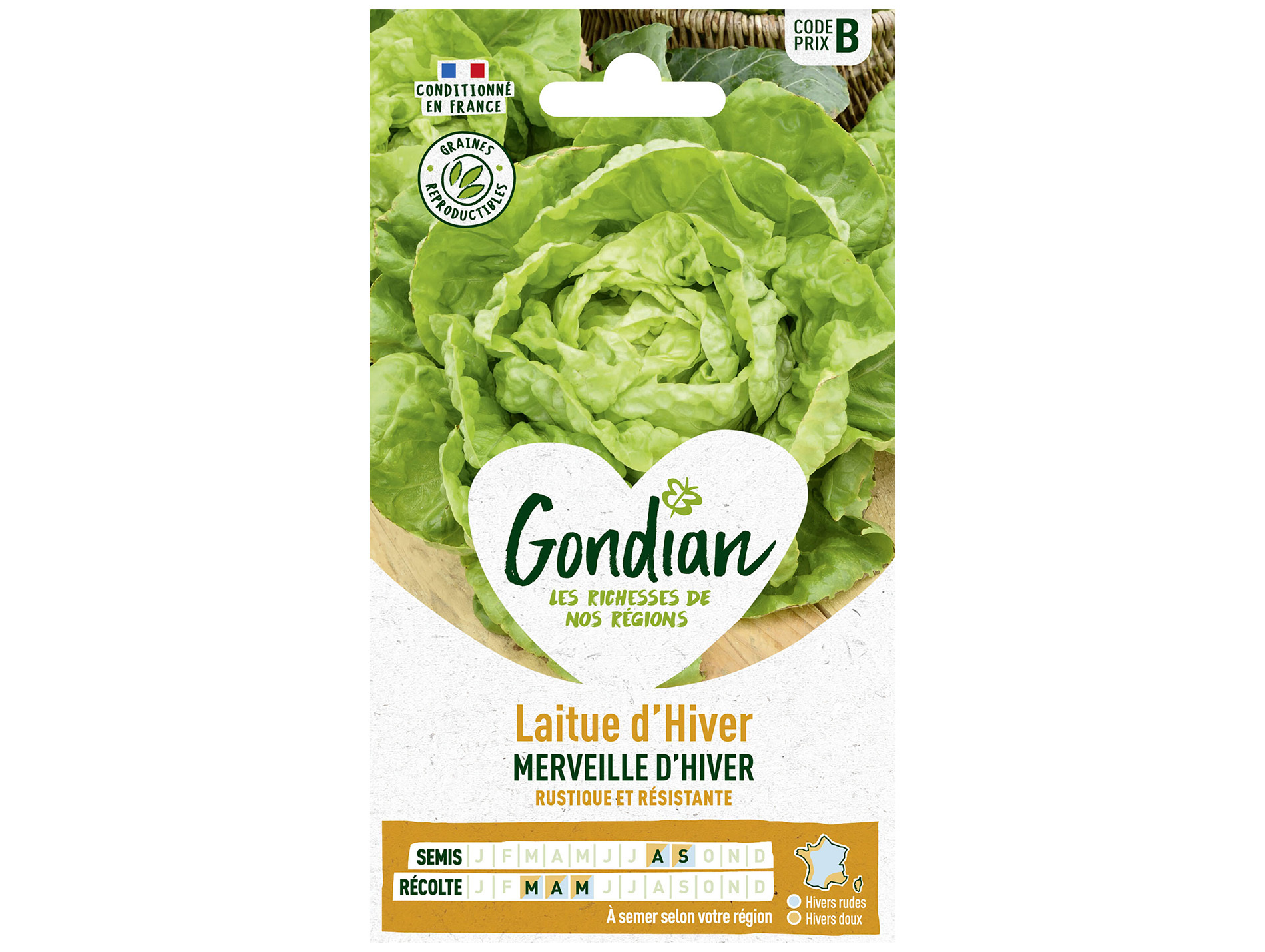 Laitue Merveille d'Hiver GONDIAN Série B