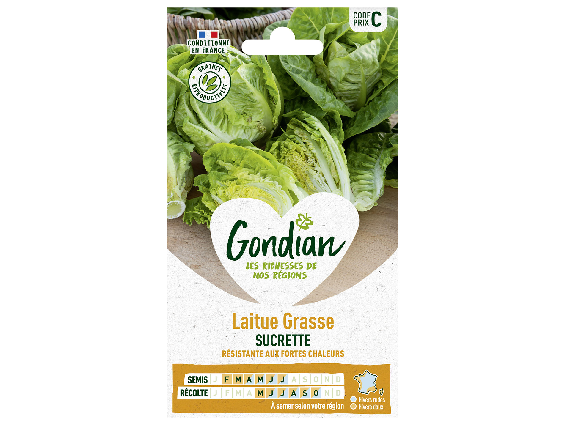 Laitue grasse Sucrine GONDIAN Série C