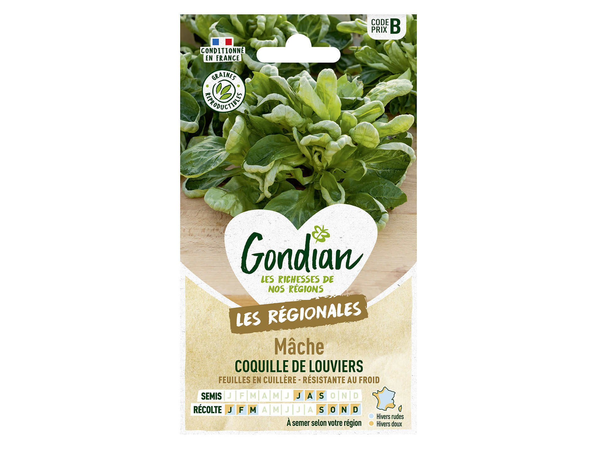 Mâche Coquille de Louviers GONDIAN Série B