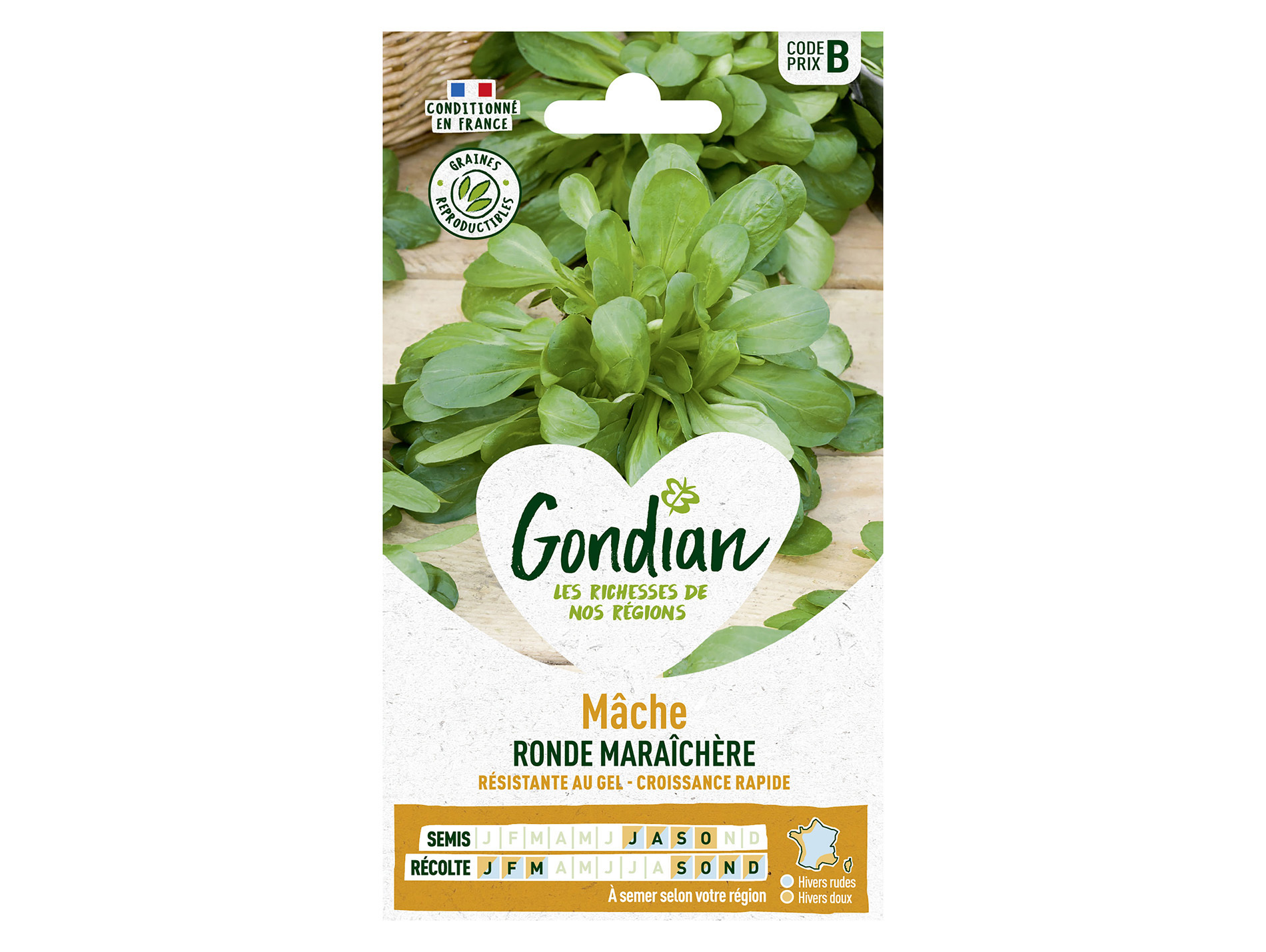 Mâche ronde maraîchère GONDIAN Série B