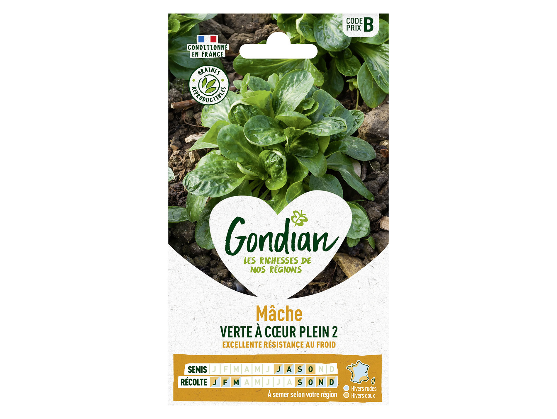 Mâche ronde verte à coeur plein 2 GONDIAN Série B