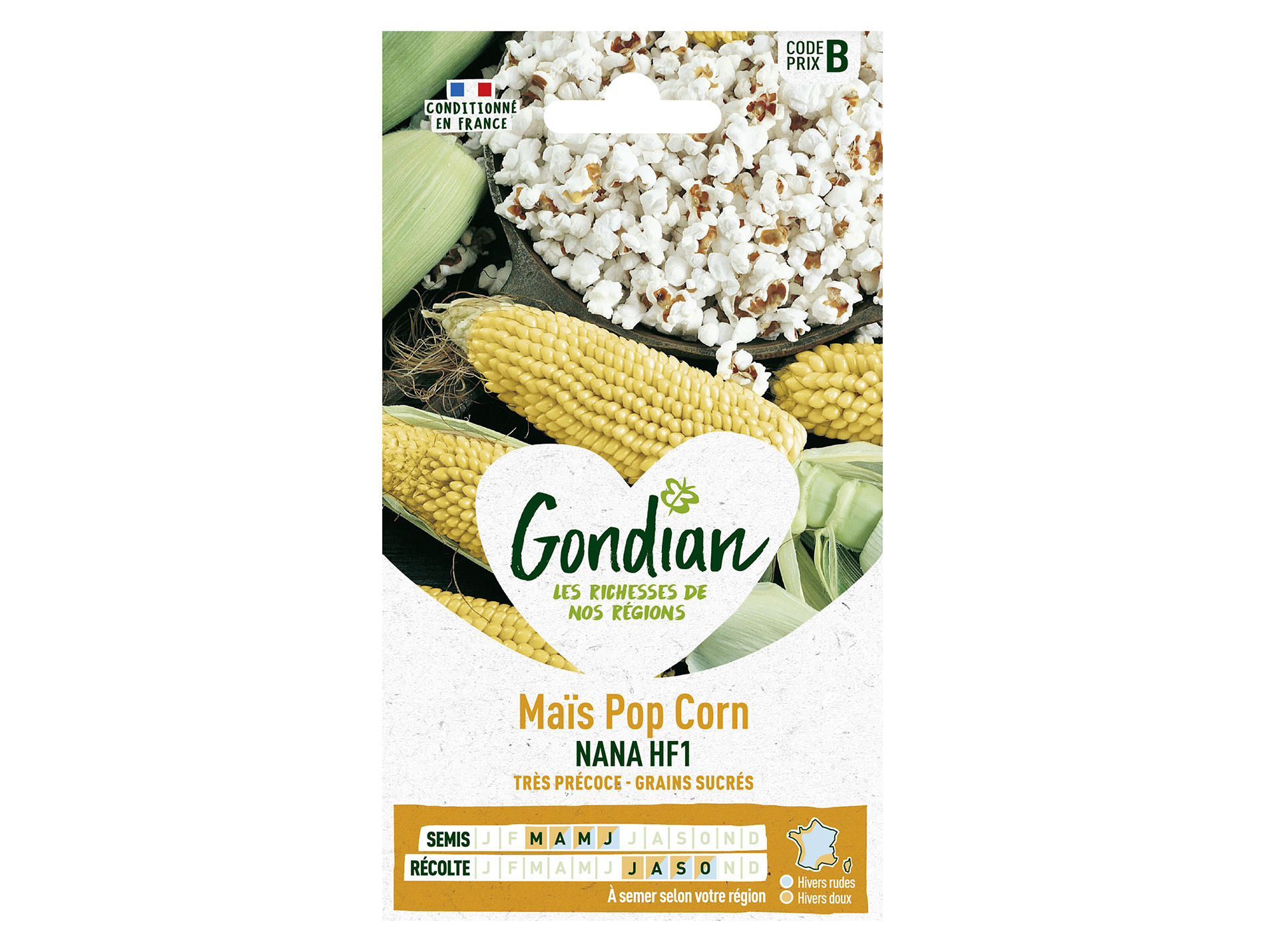 Maïs pop corn nana HF1 GONDIAN Série B