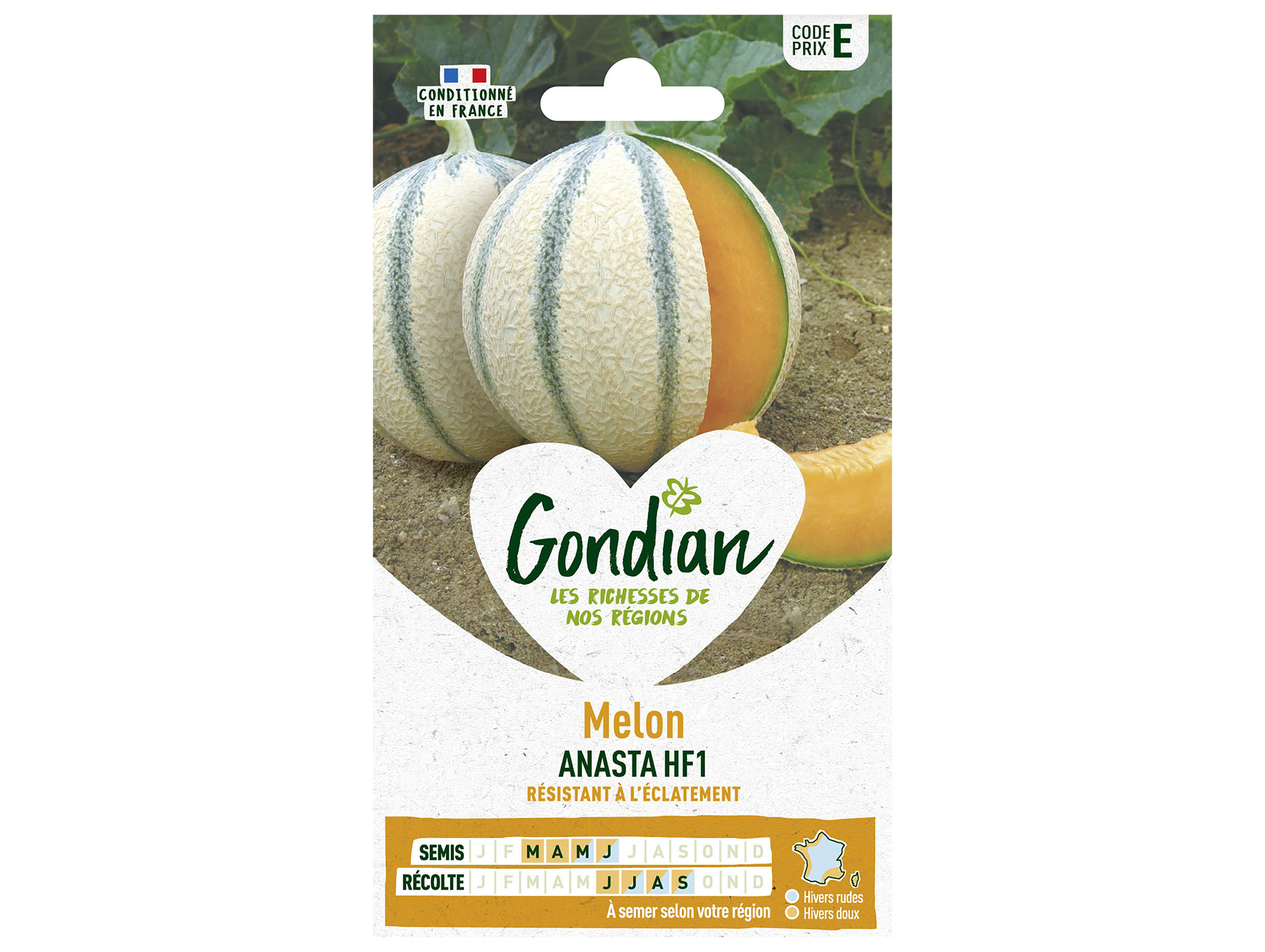 Melon Anasta HF1 GONDIAN Série E