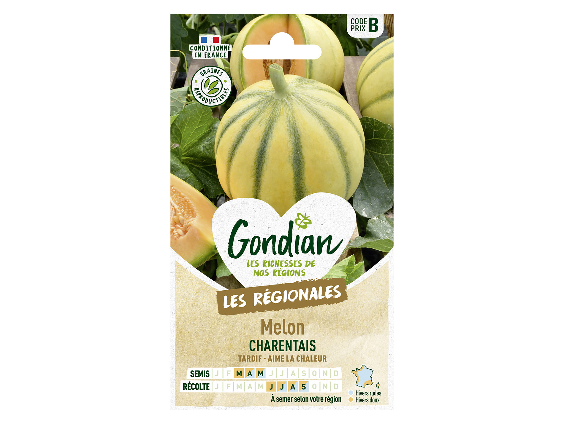 Melon Charentais GONDIAN Série B