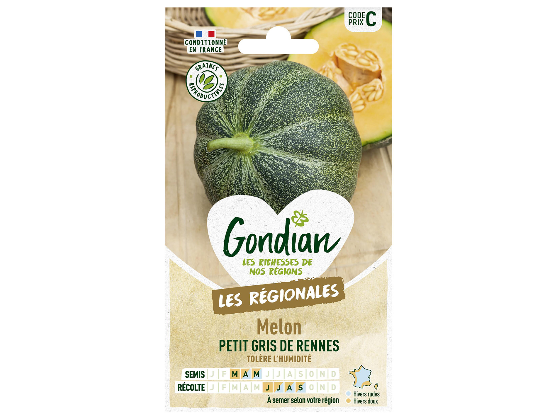 Melon petit gris Rennes GONDIAN Série C