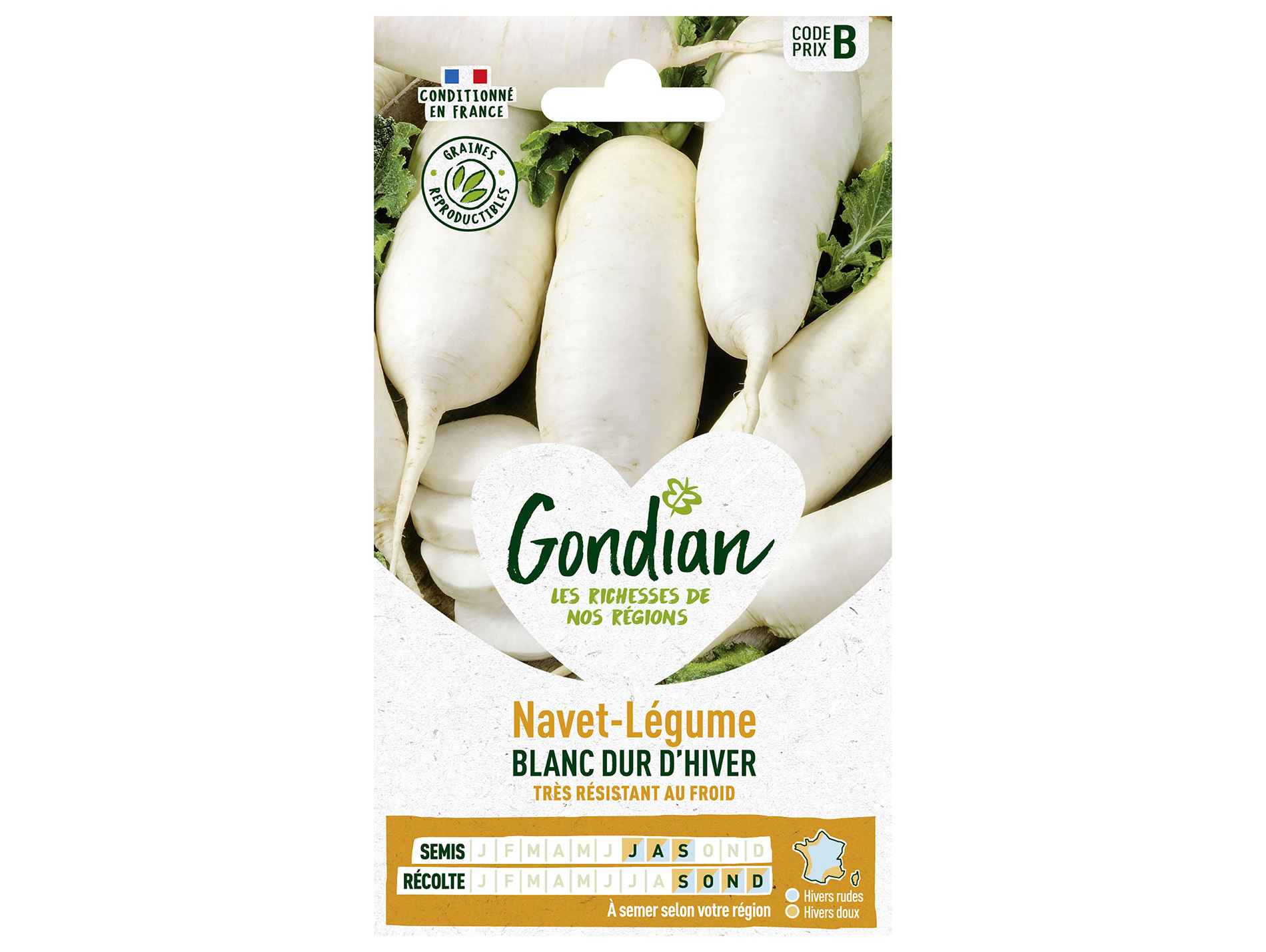 Navet blanc dur d'Hiver GONDIAN Série B