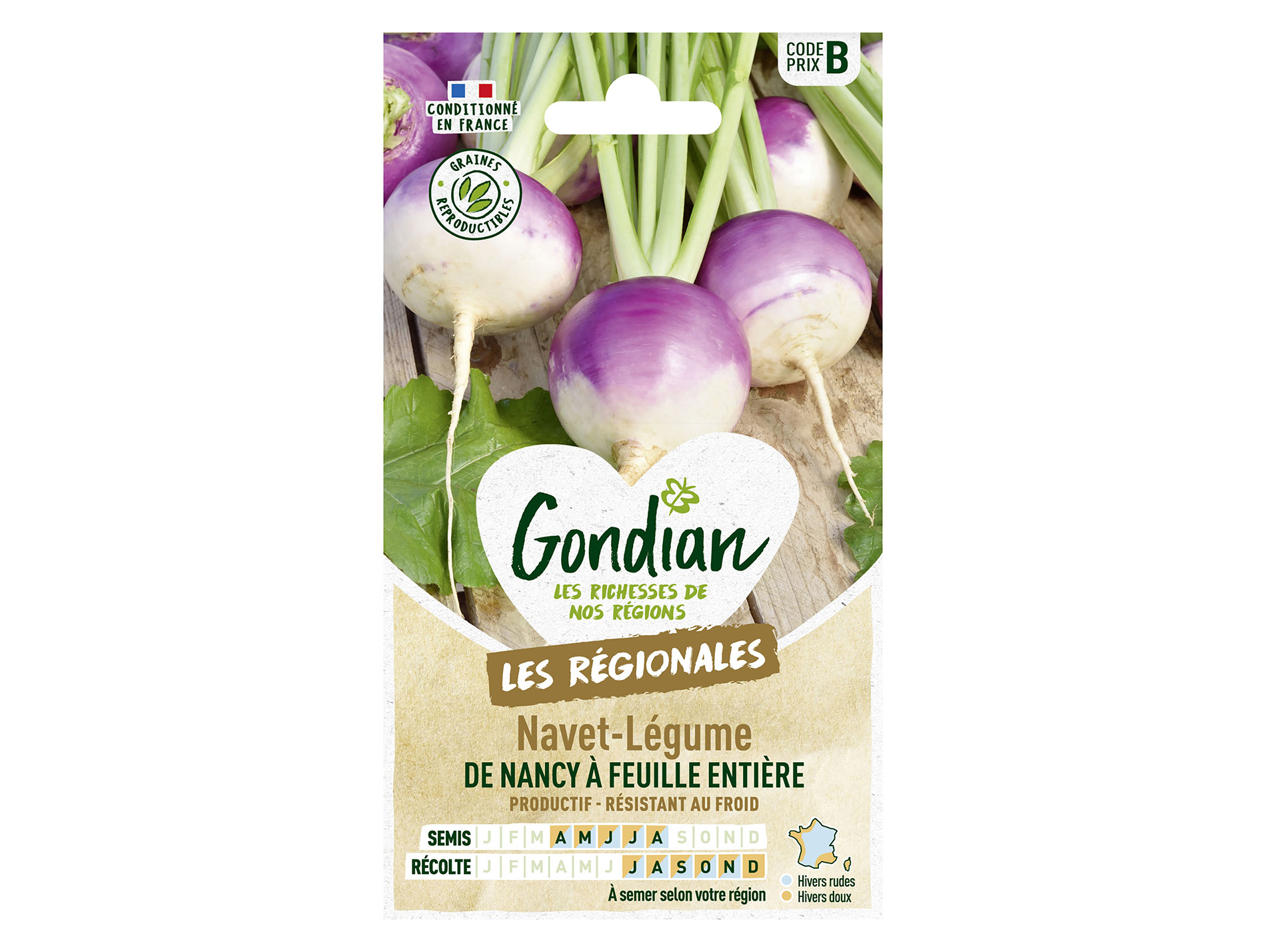 Navet à feuilles entières de Nancy GONDIAN Série B