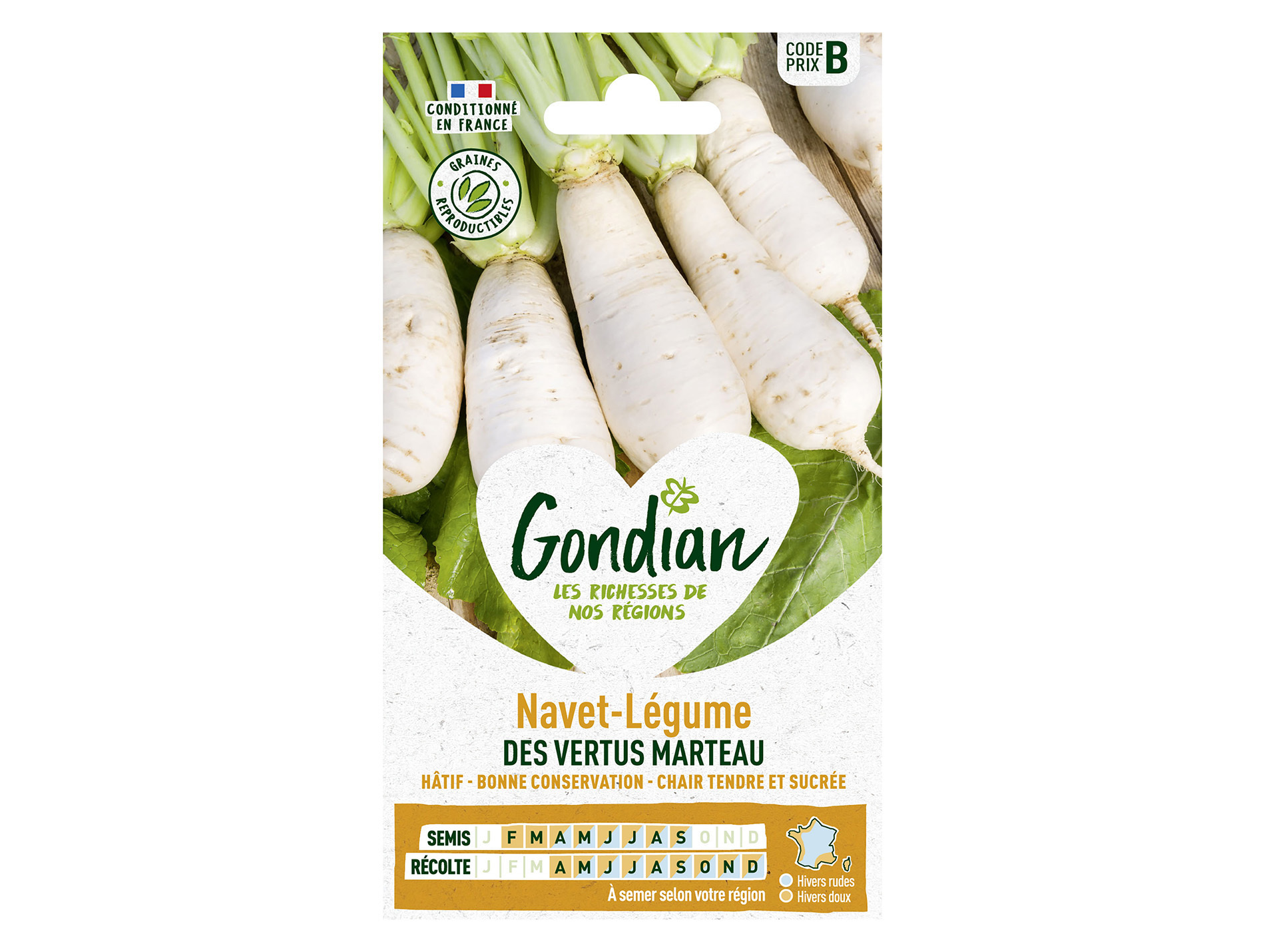 Navet des Vertus Marteau GONDIAN Série B