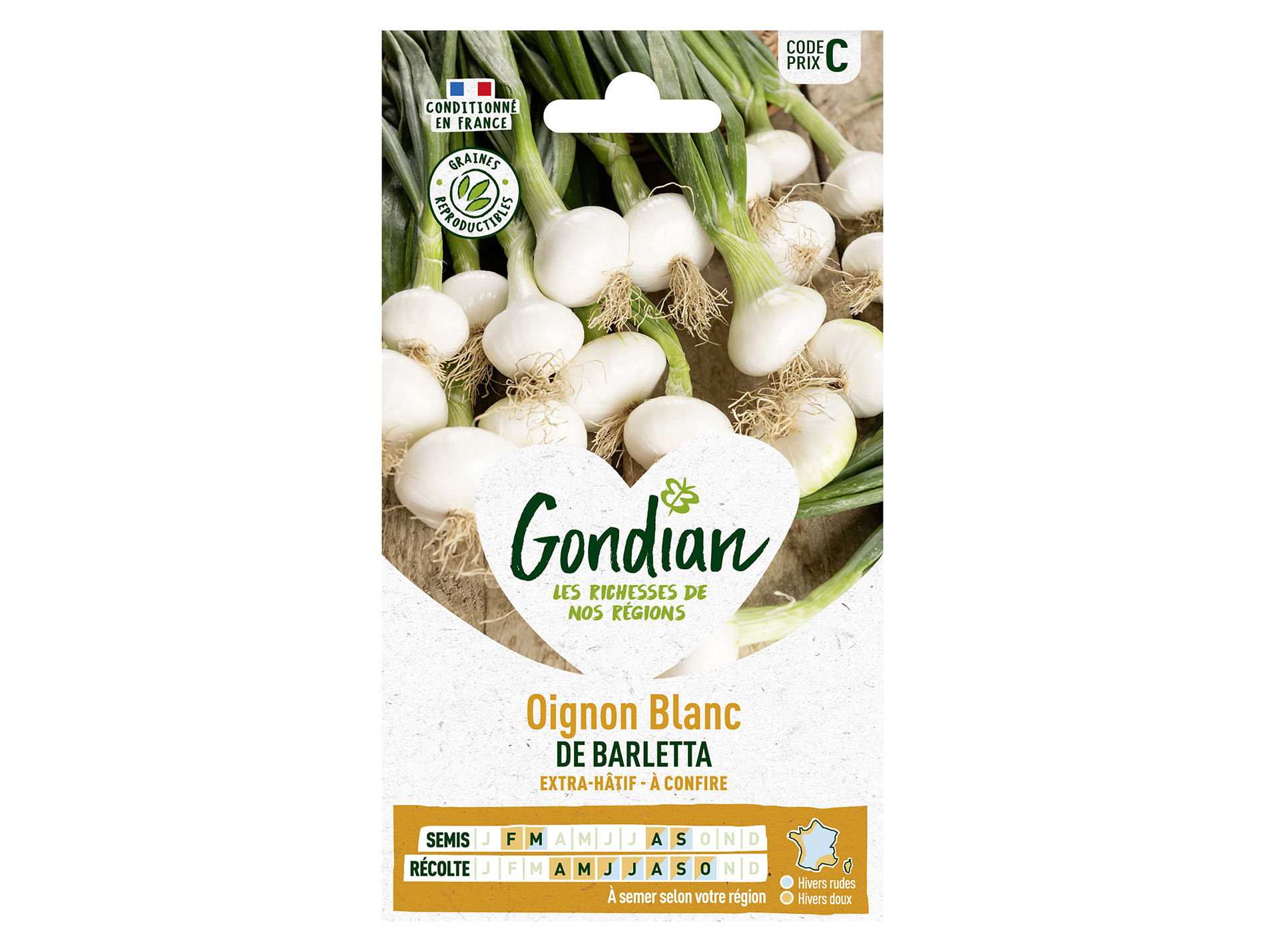 Oignon blanc de Barletta GONDIAN Série C
