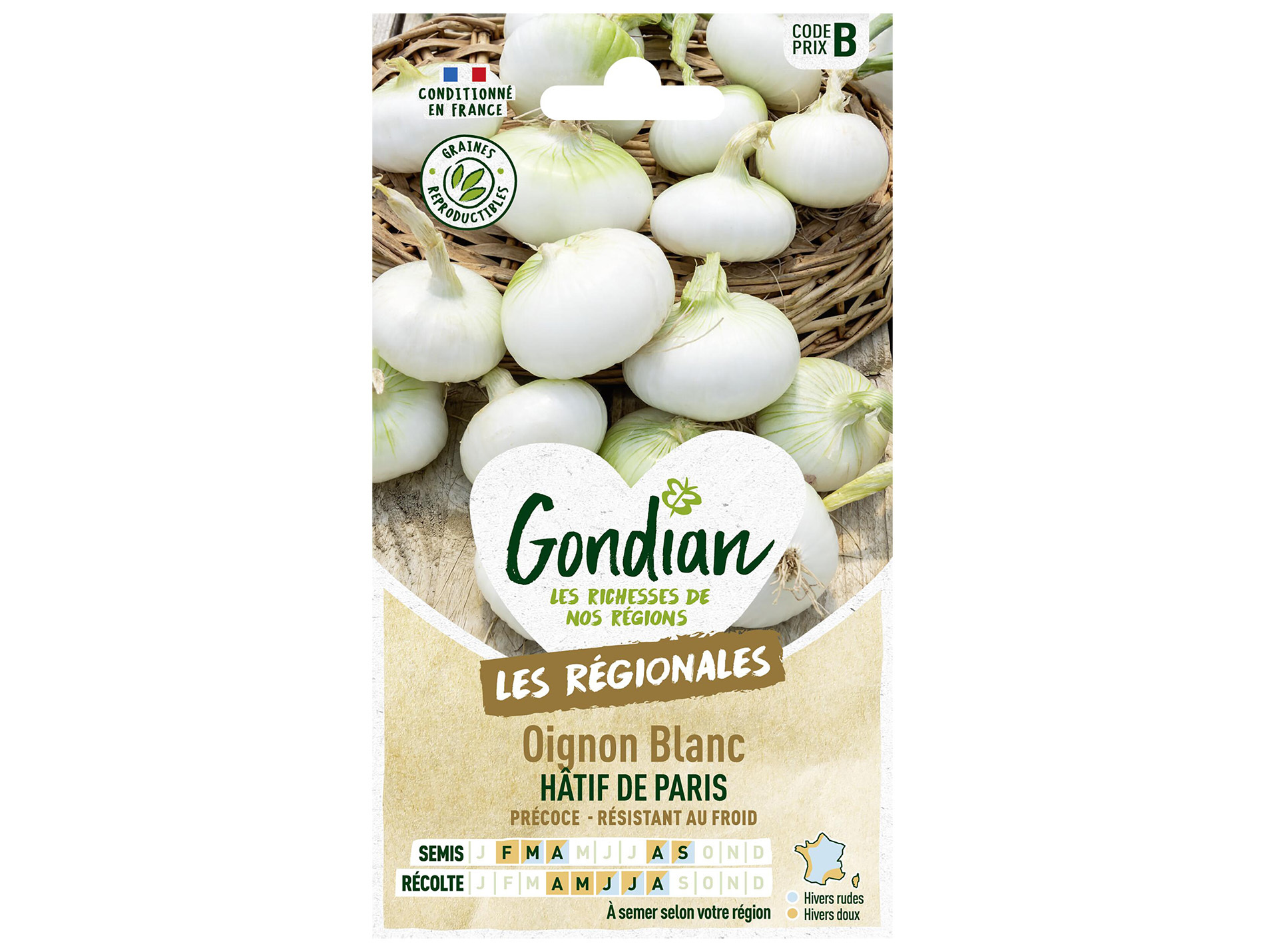 Oignon blanc de Paris GONDIAN Série B