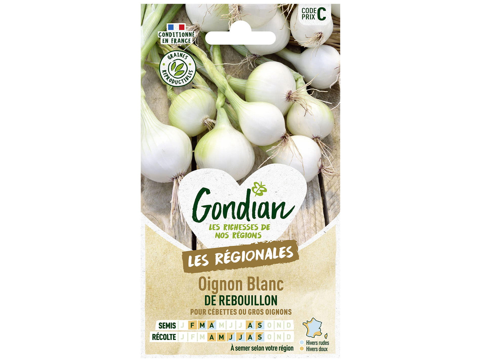 Oignon blanc de Rebouillon GONDIAN Série C