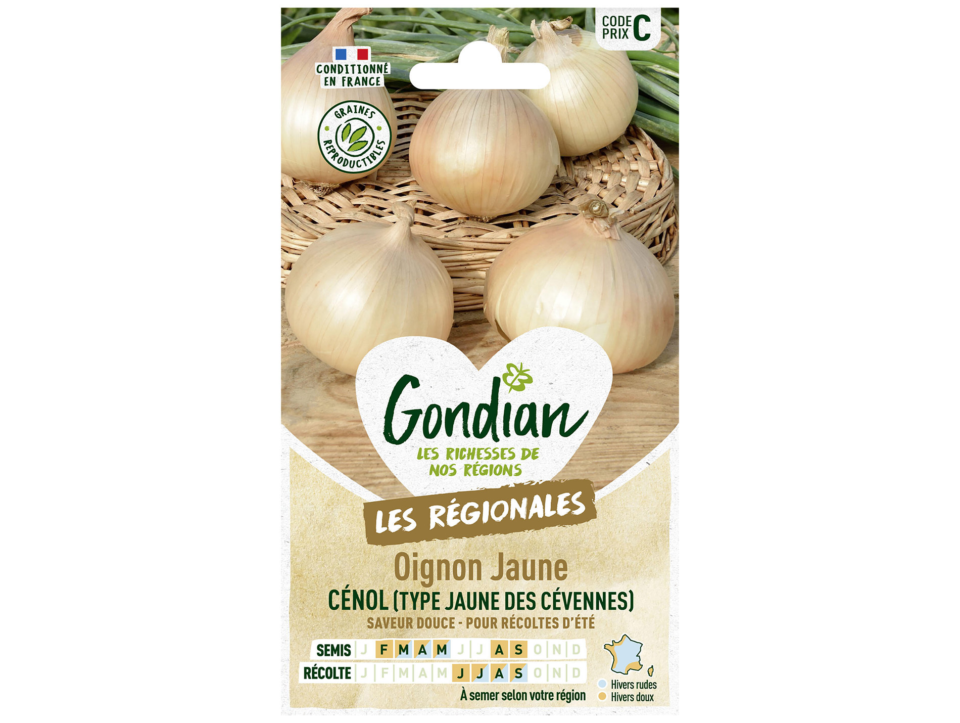 Oignon jaune de Cenol GONDIAN Série C