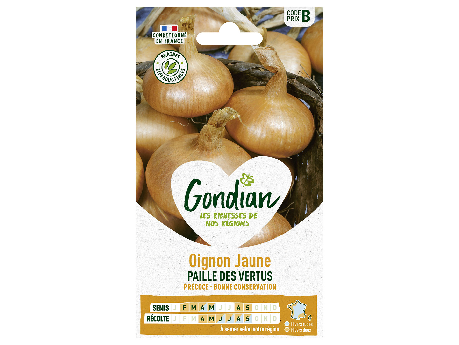 Oignon jaune de Paille des Vertus GONDIAN Série B