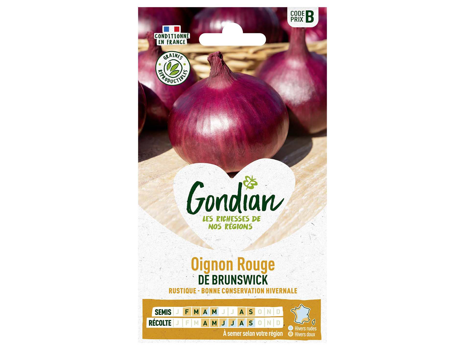Oignon rouge Brunswick GONDIAN Série B