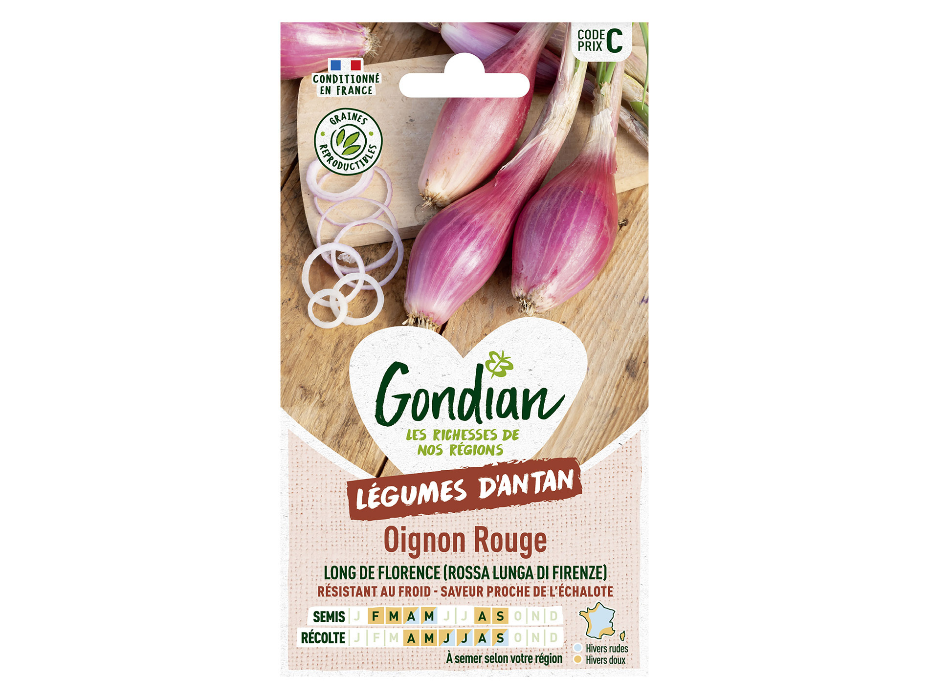 Oignon rouge Long de Florence GONDIAN Série G