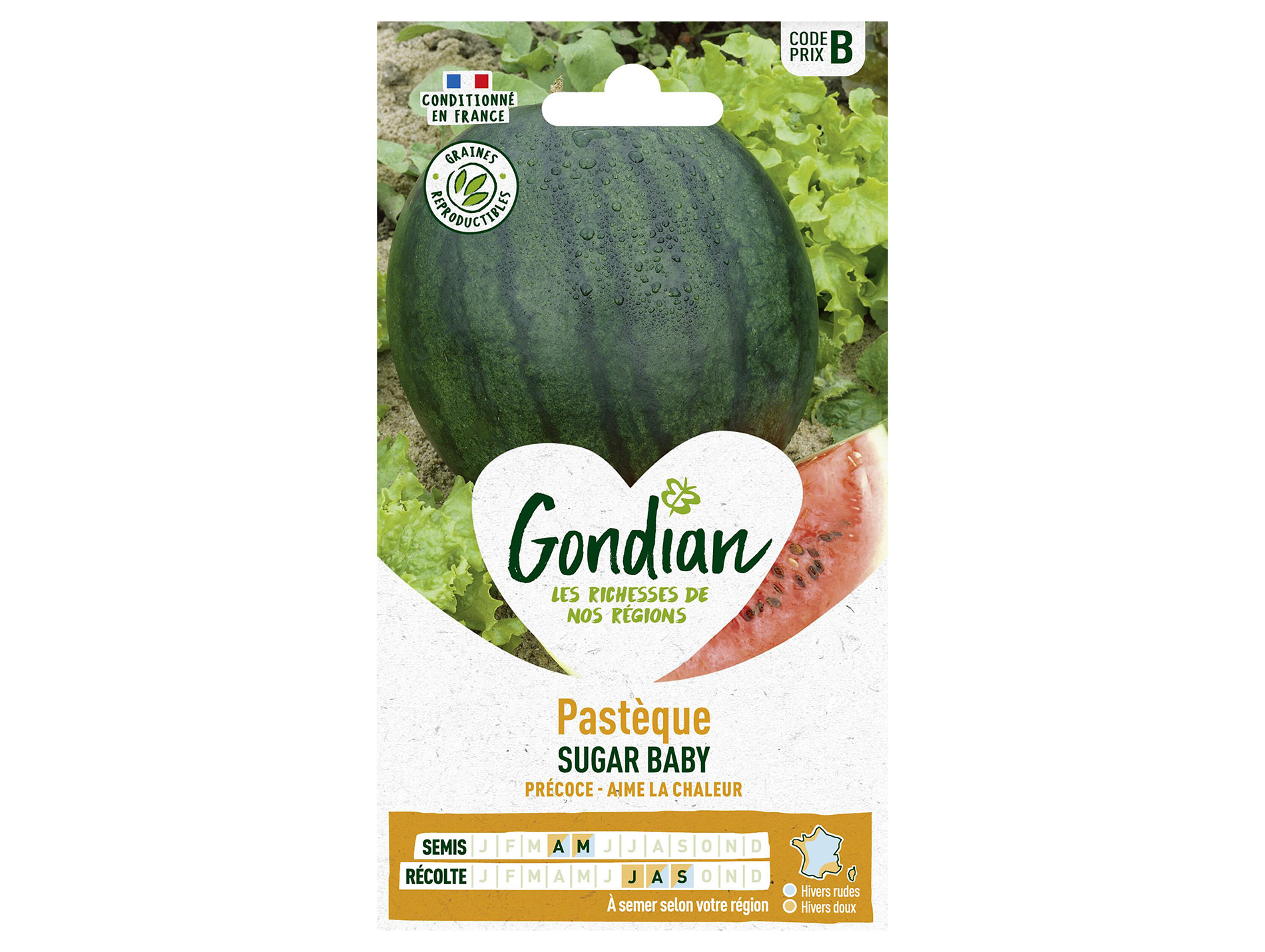 Pastèque Sugar Baby GONDIAN Série B