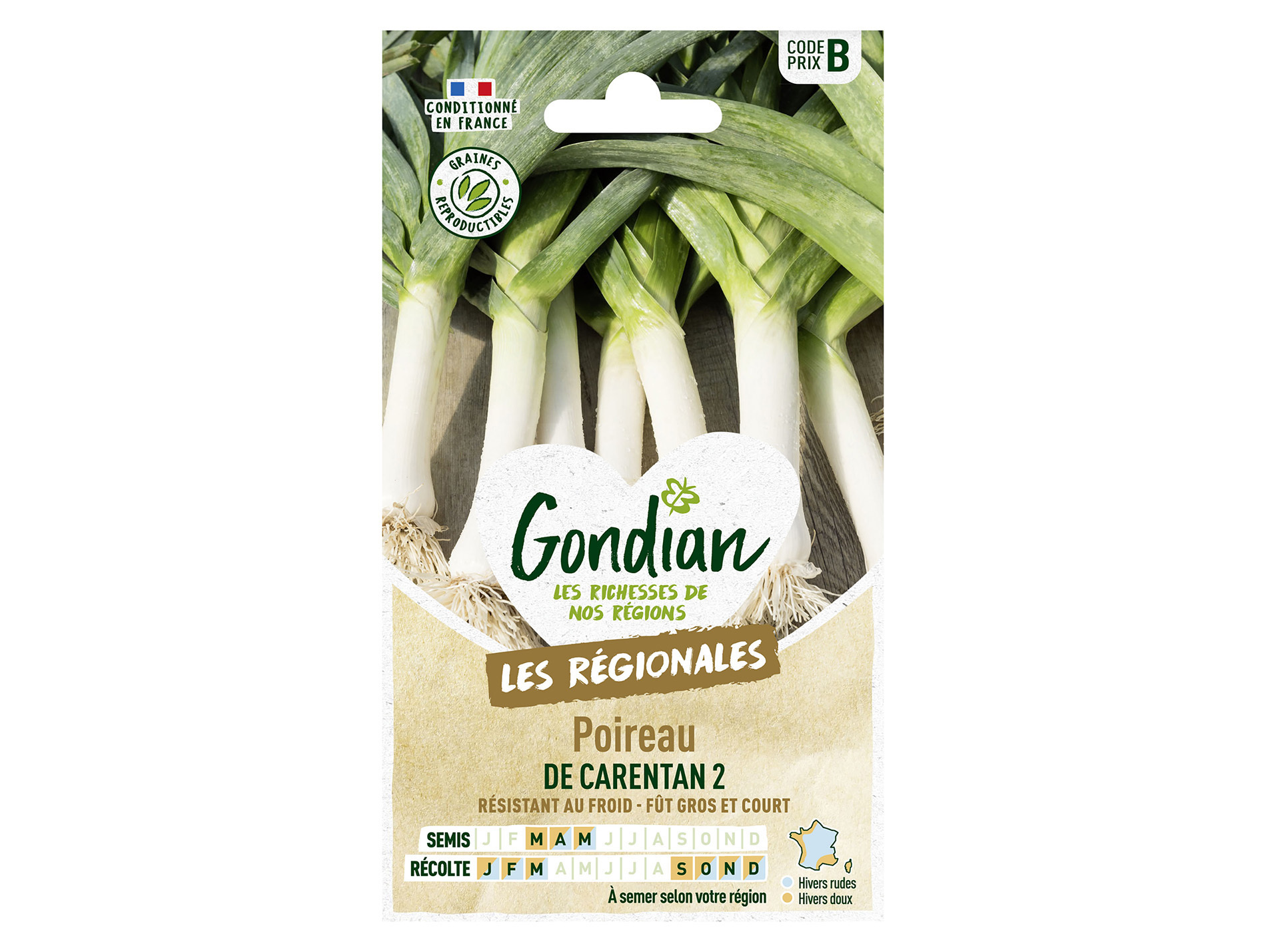 Poireau de Carentan 2 GONDIAN Série B