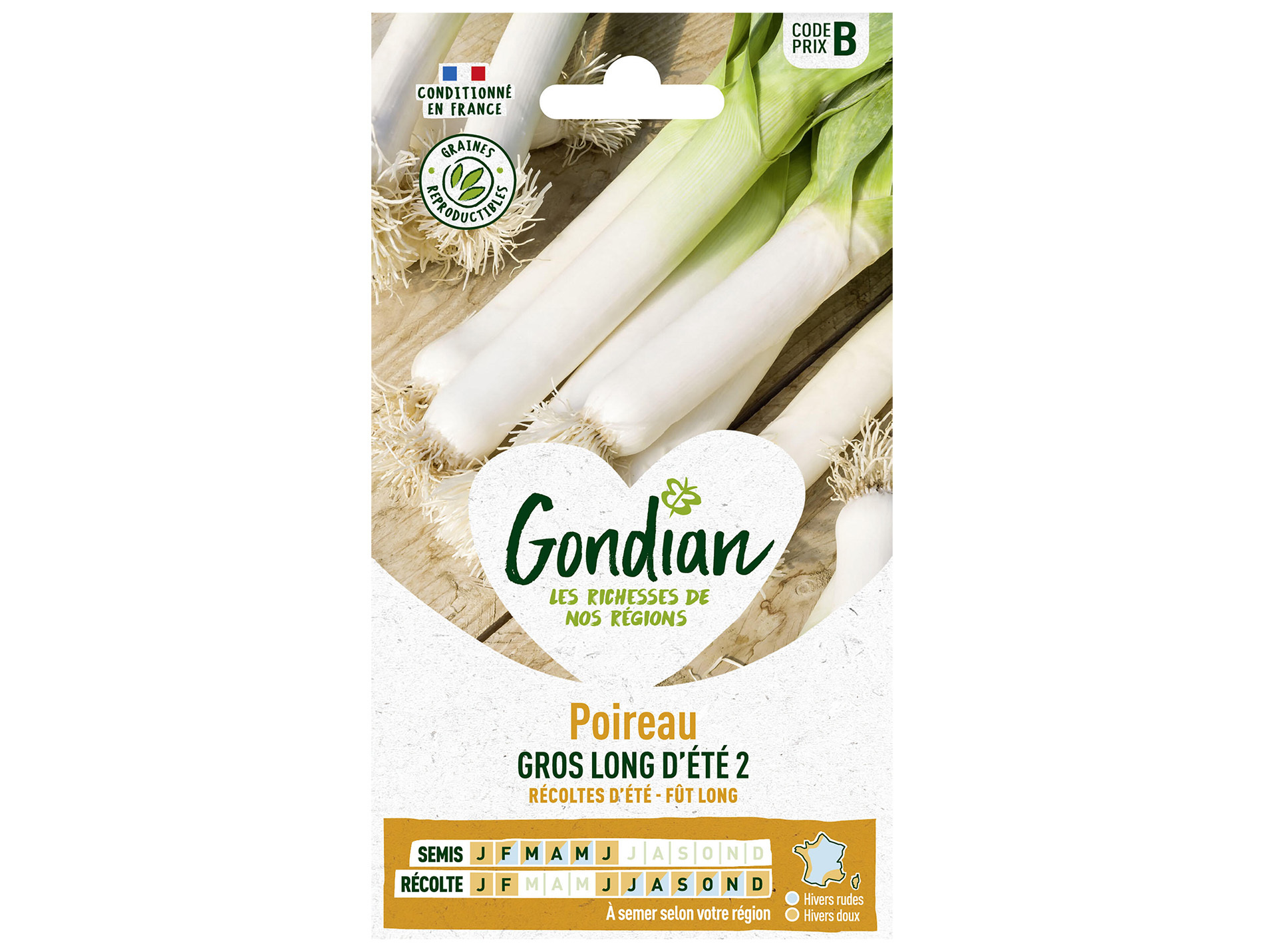 Poireau gros long d'Été 2 GONDIAN Série B
