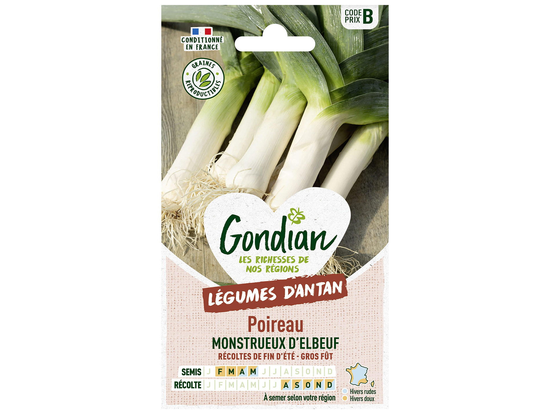 Poireau monstrueux d'Elbeuf GONDIAN Série B
