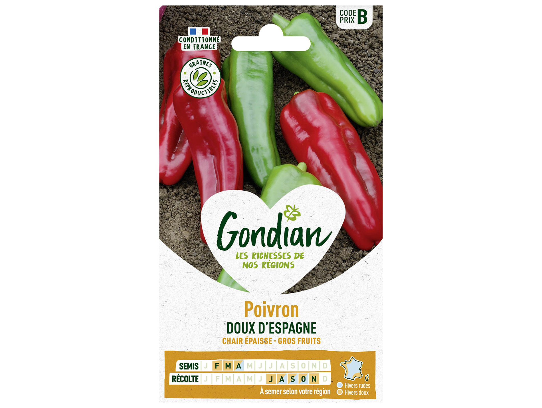 Poivron doux d'Espagne GONDIAN Série B