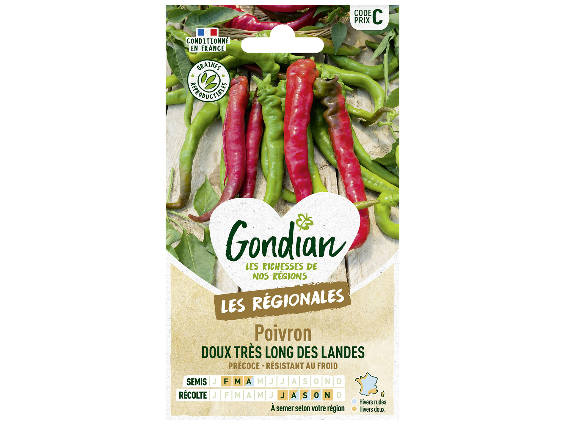 Poivron doux long des Landes GONDIAN Série C