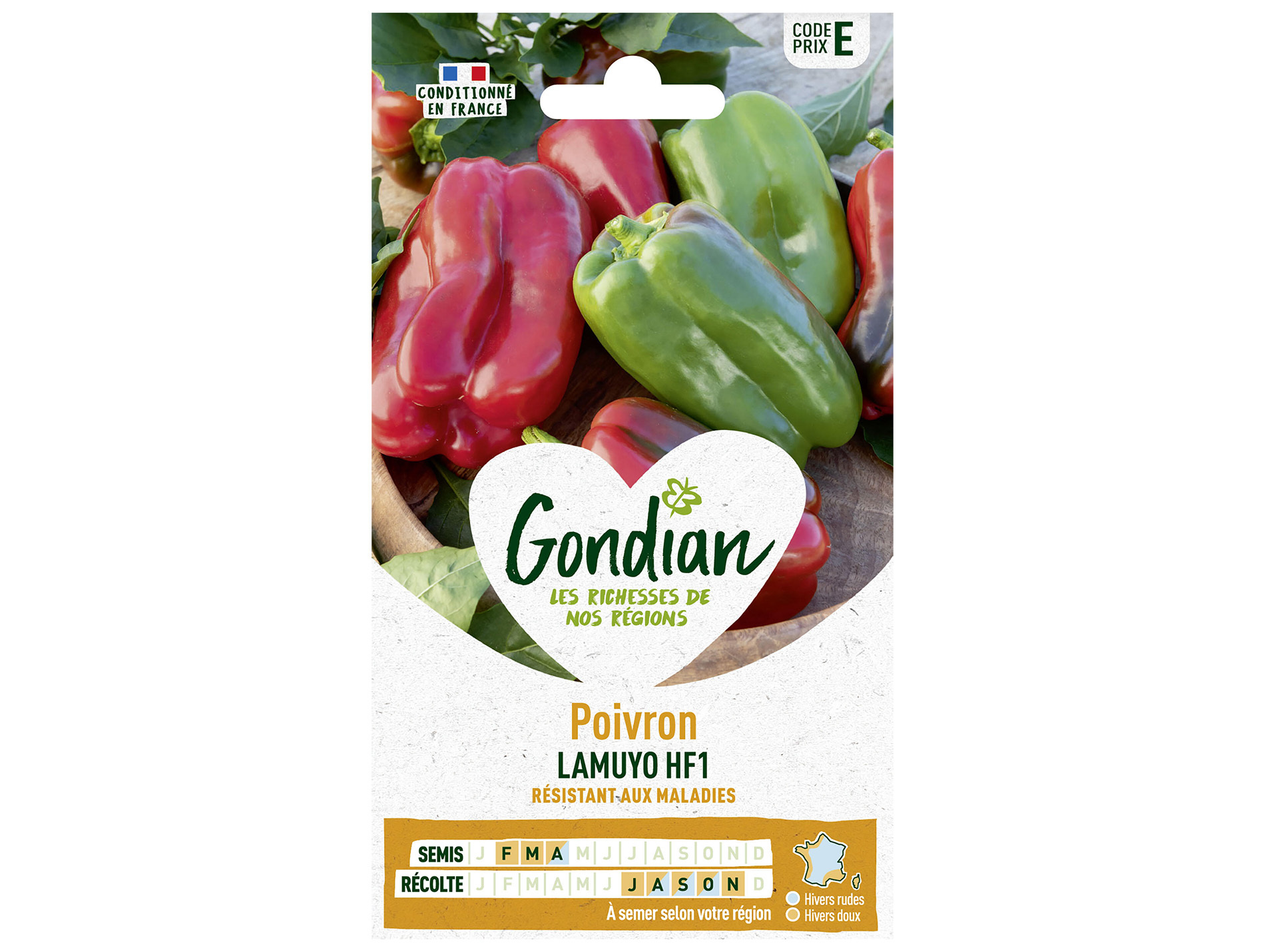 Poivron Lamuyo HF1 Inra GONDIAN Série E