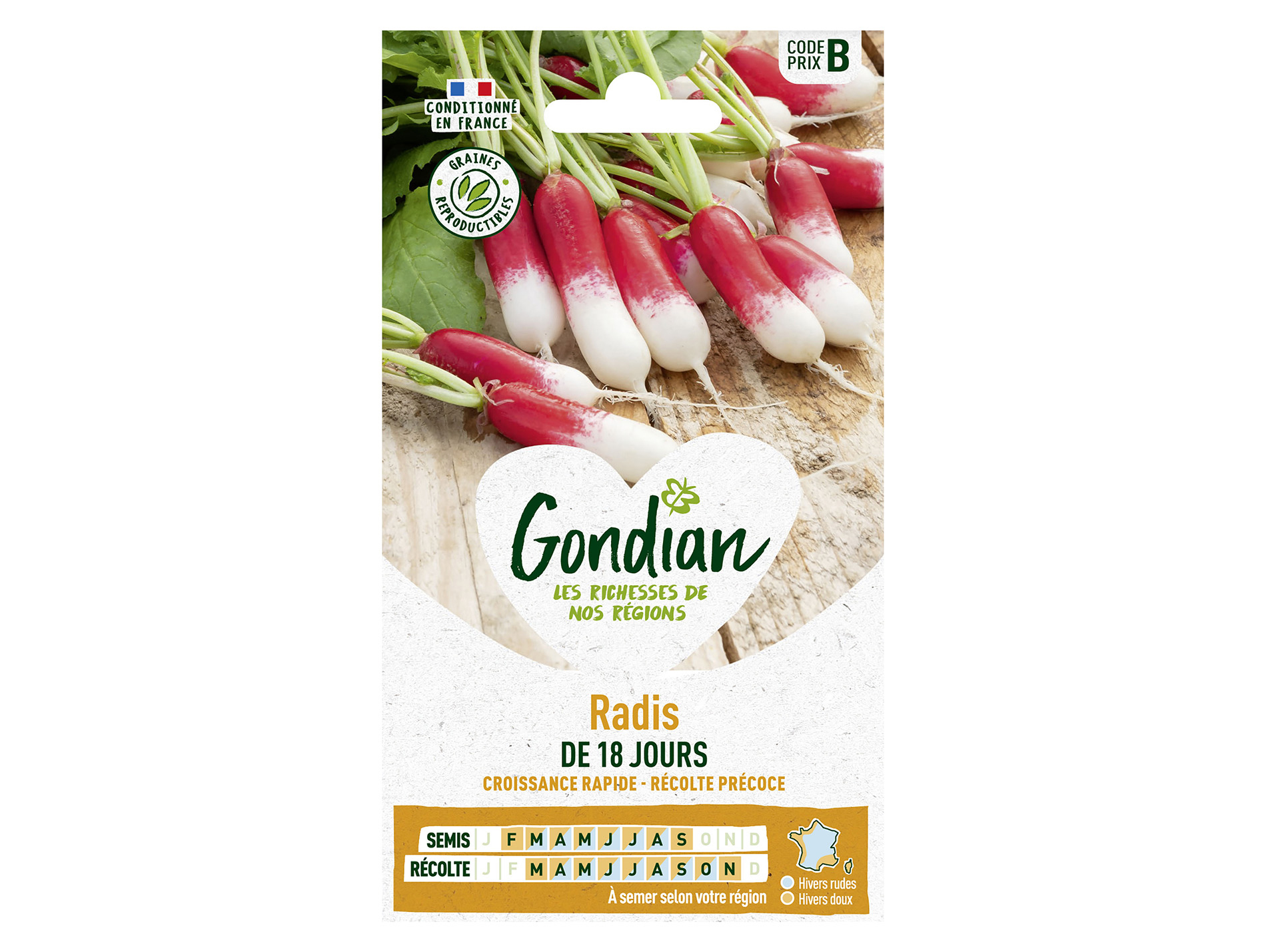 Radis demi-long 18 jours GONDIAN Série B