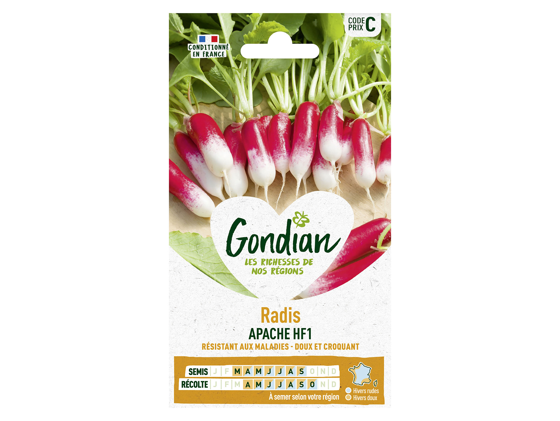 Radis demi-long Apache GONDIAN Série C