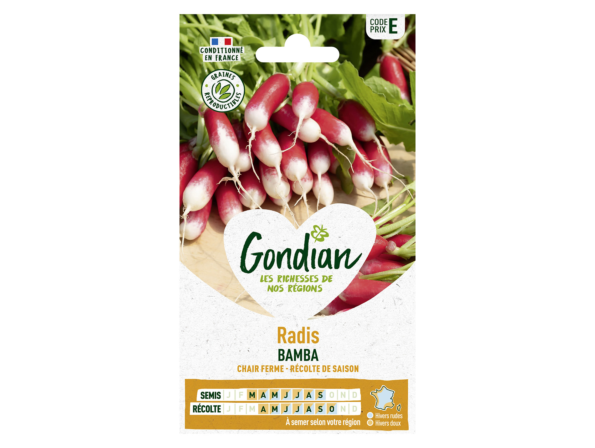Radis demi-long Bamba GONDIAN Série E