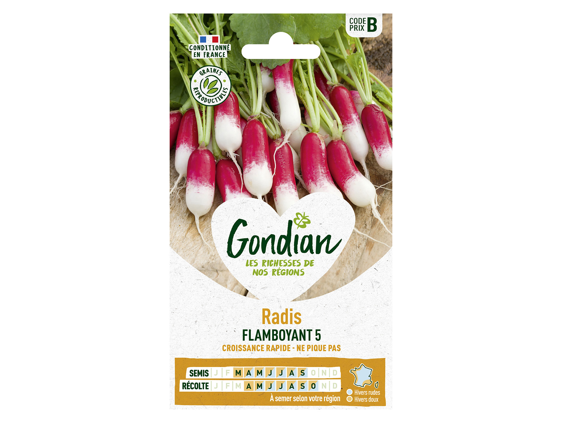 Radis demi-long Flamboyant 5 GONDIAN Série B