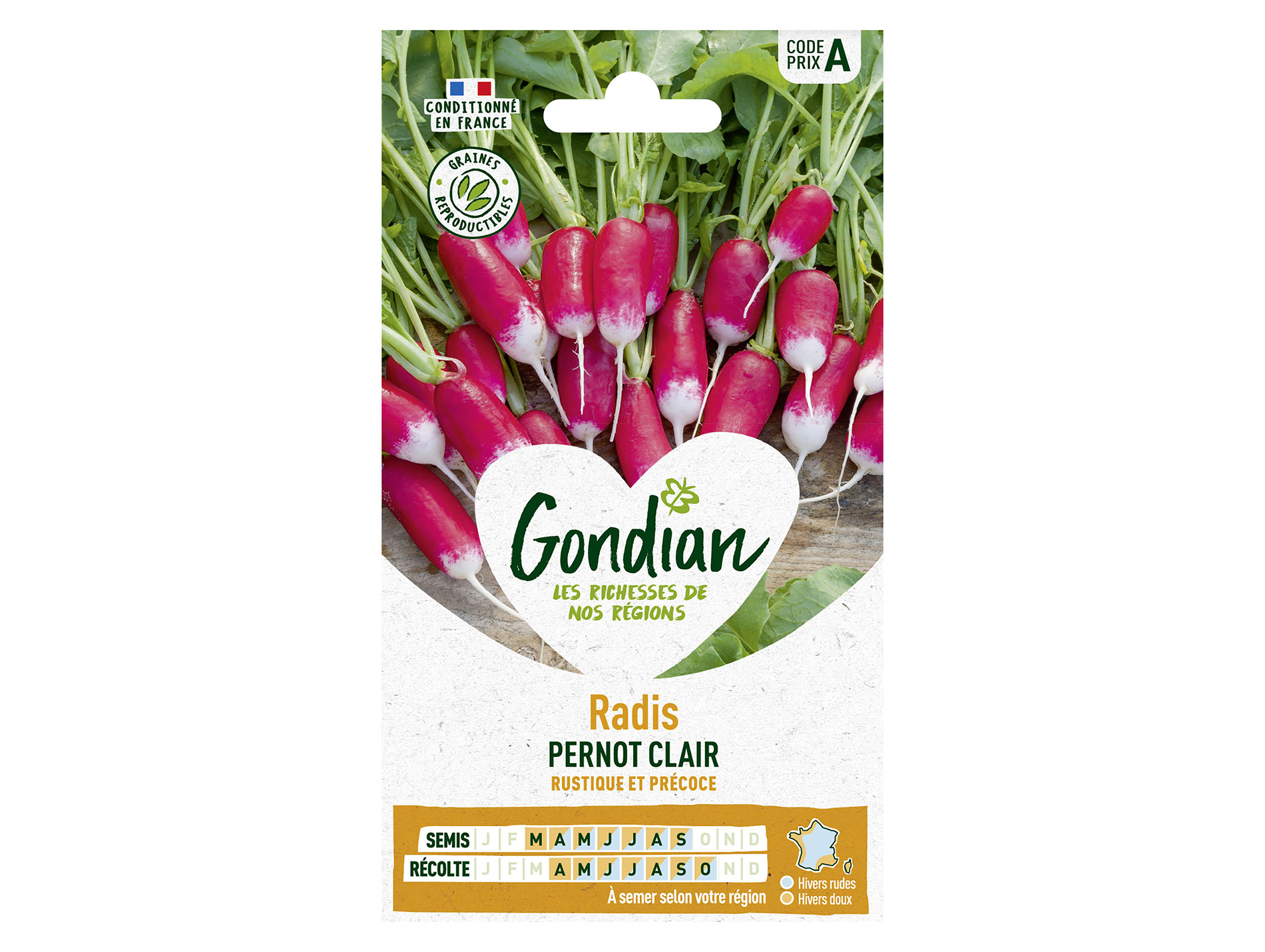 Radis demi-long Pernot GONDIAN Série A