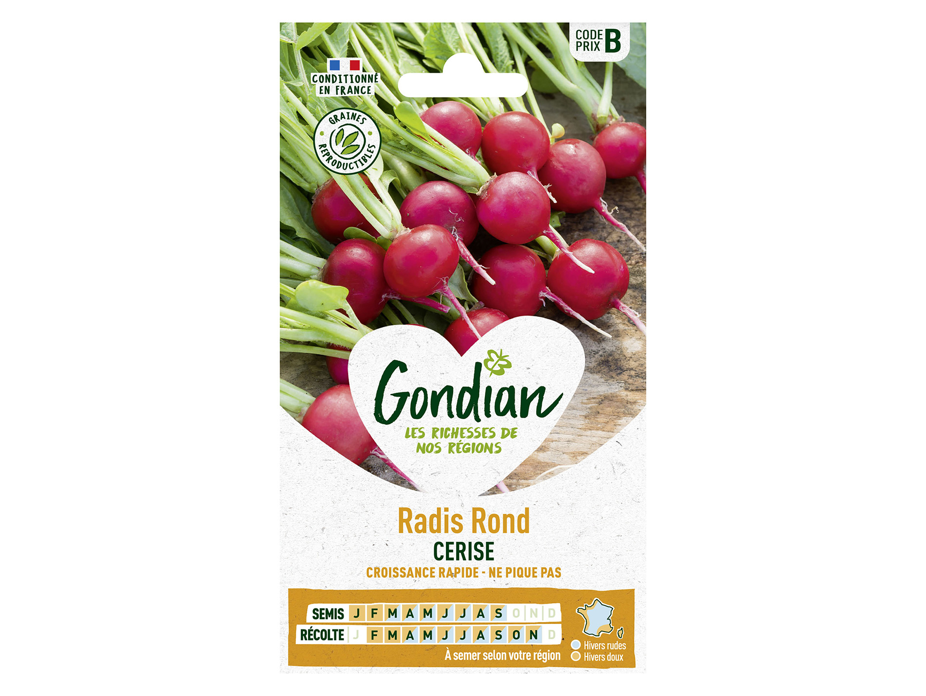 Radis rond Cerise GONDIAN Série B