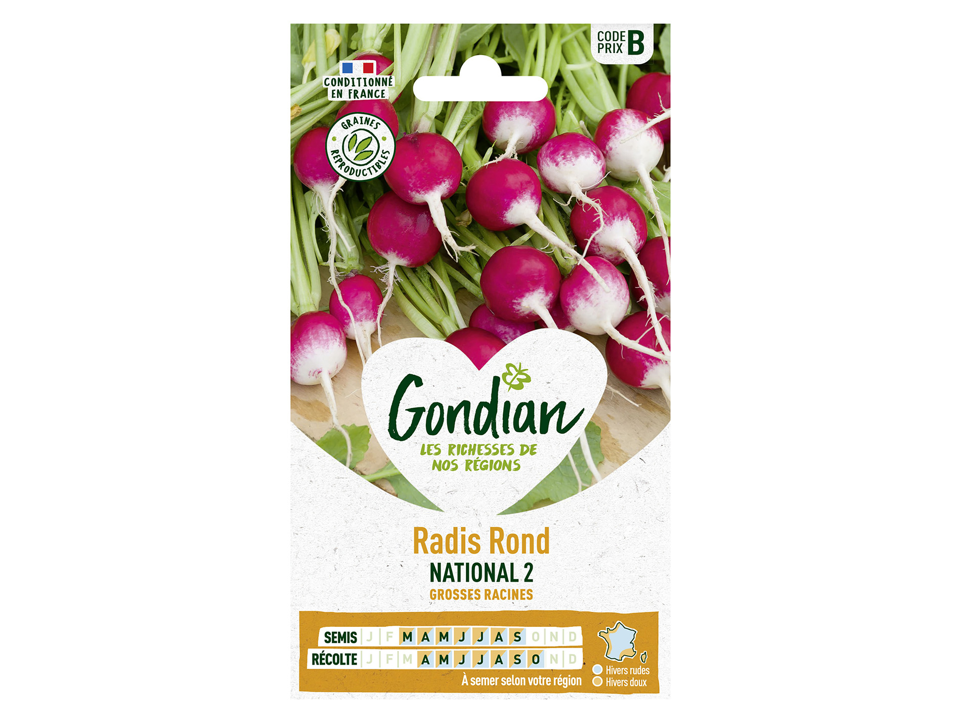 Radis rond National 2 GONDIAN Série B