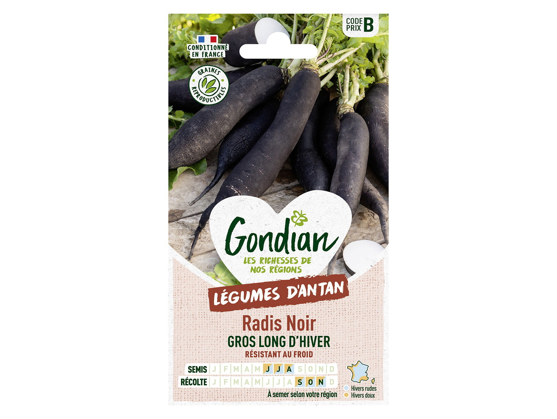 Radis noir gros long d'Hiver GONDIAN Série B