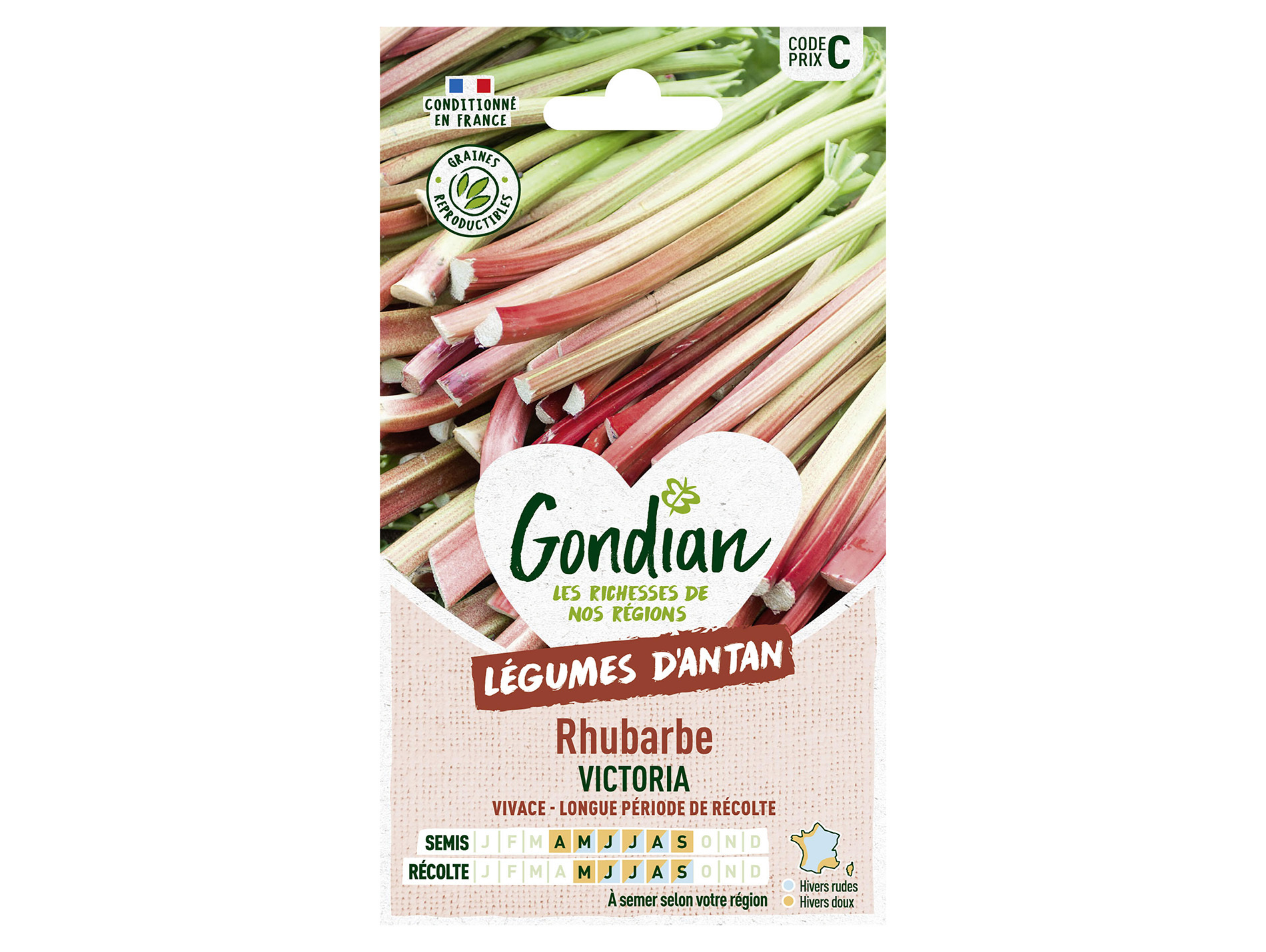 Rhubarbe Victoria GONDIAN Série C