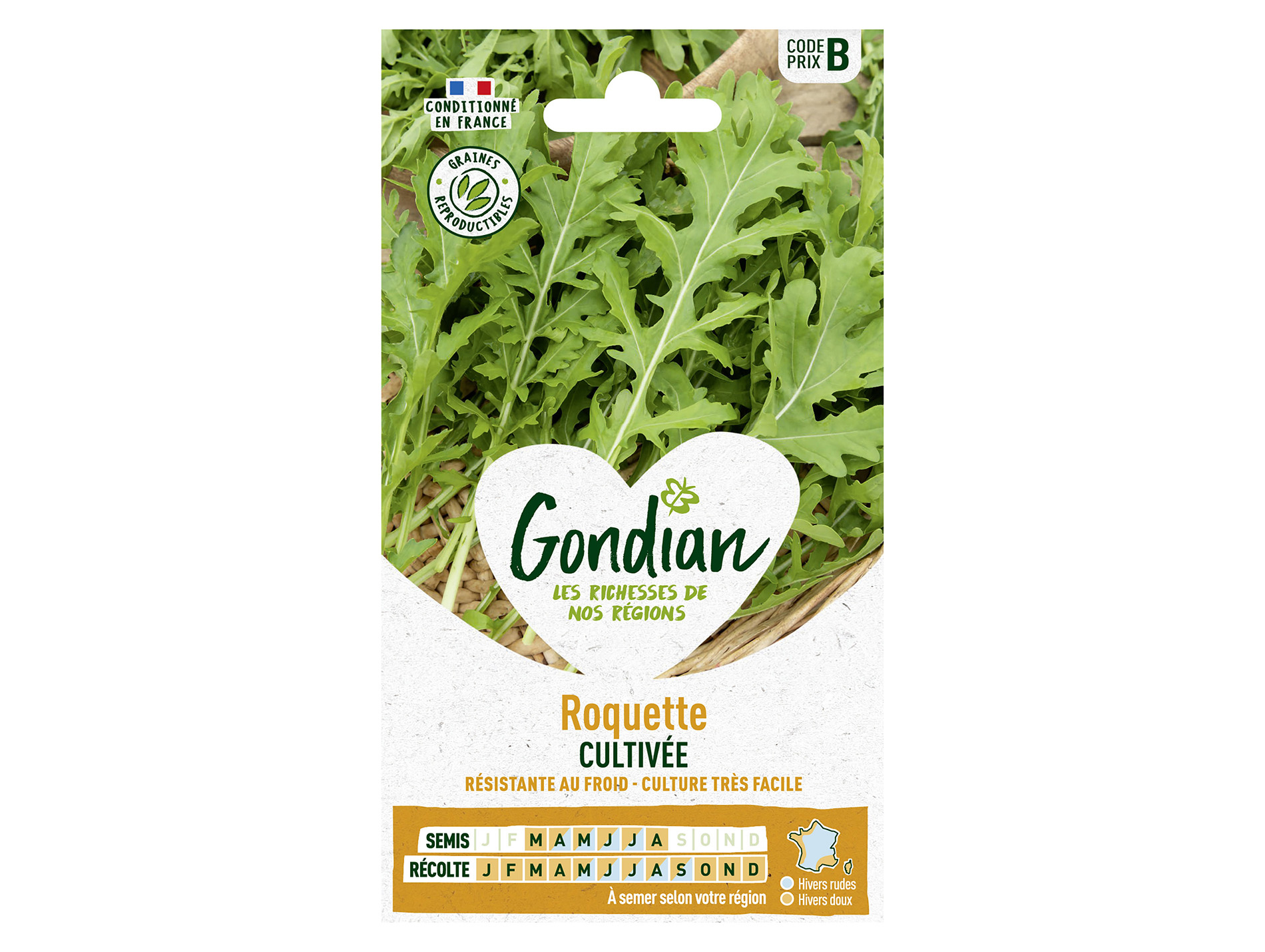 Roquette Cultivée GONDIAN Série B