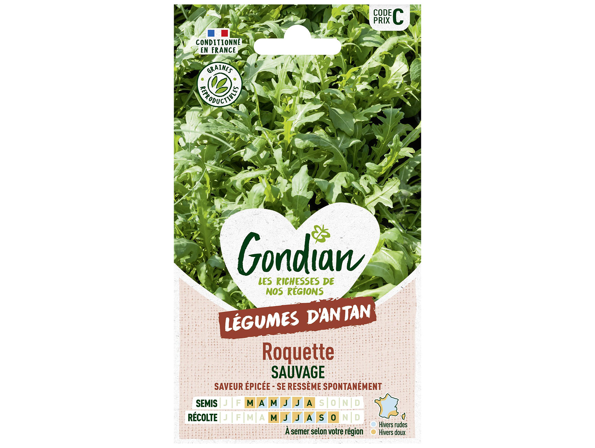 Roquette Sauvage GONDIAN Série C