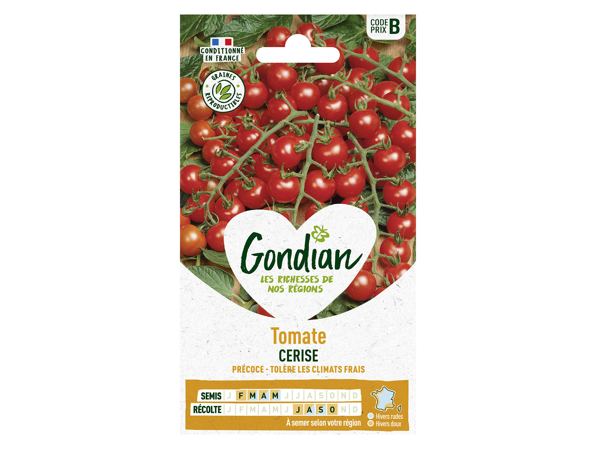 Tomate cerise GONDIAN Série B