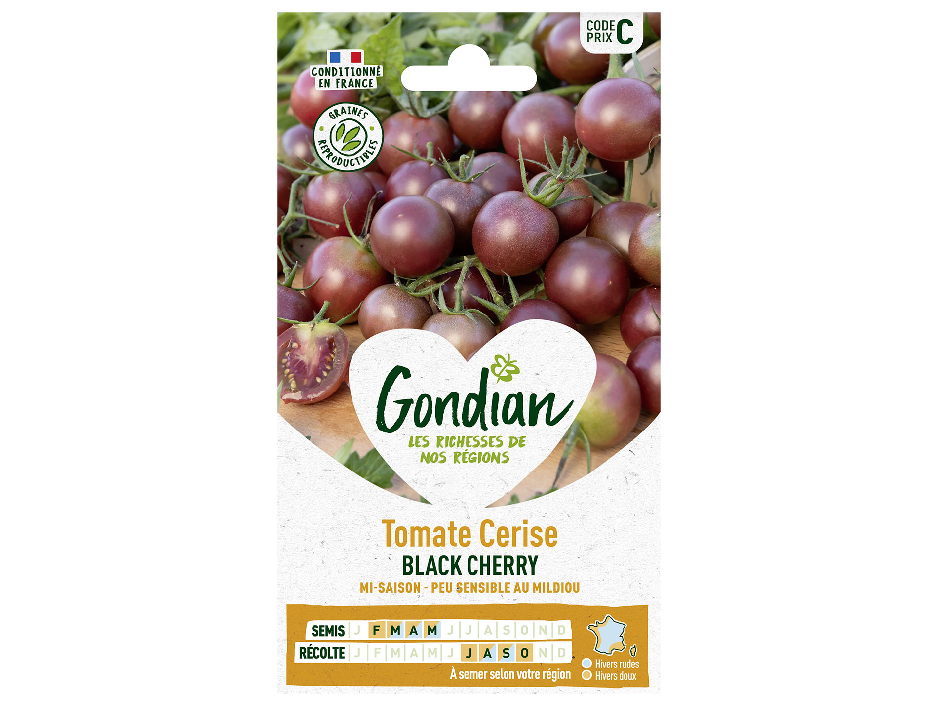 Tomate cerise Black Cherry GONDIAN Série C