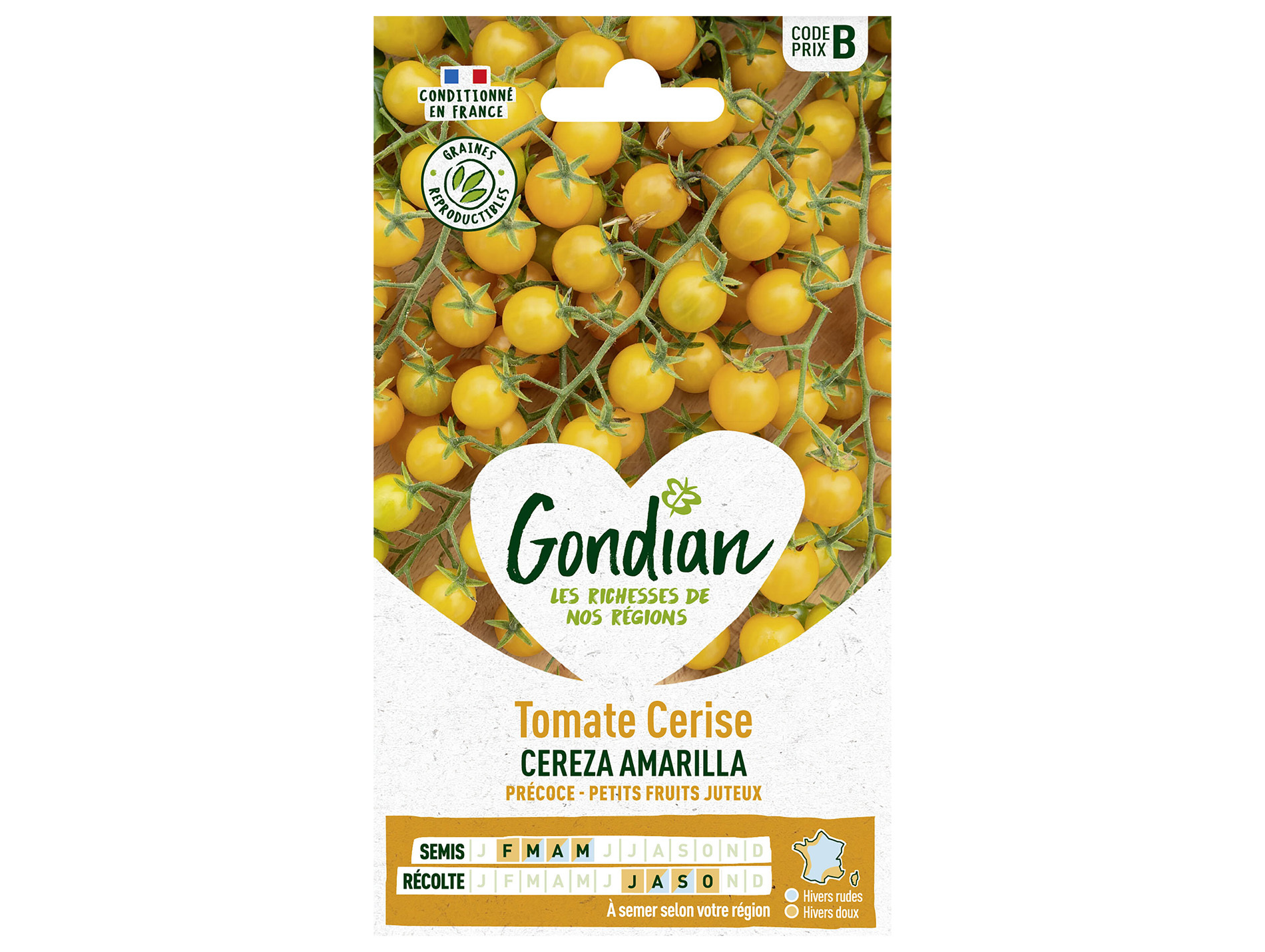 Tomate cerise Cereza Amarilla GONDIAN Série B