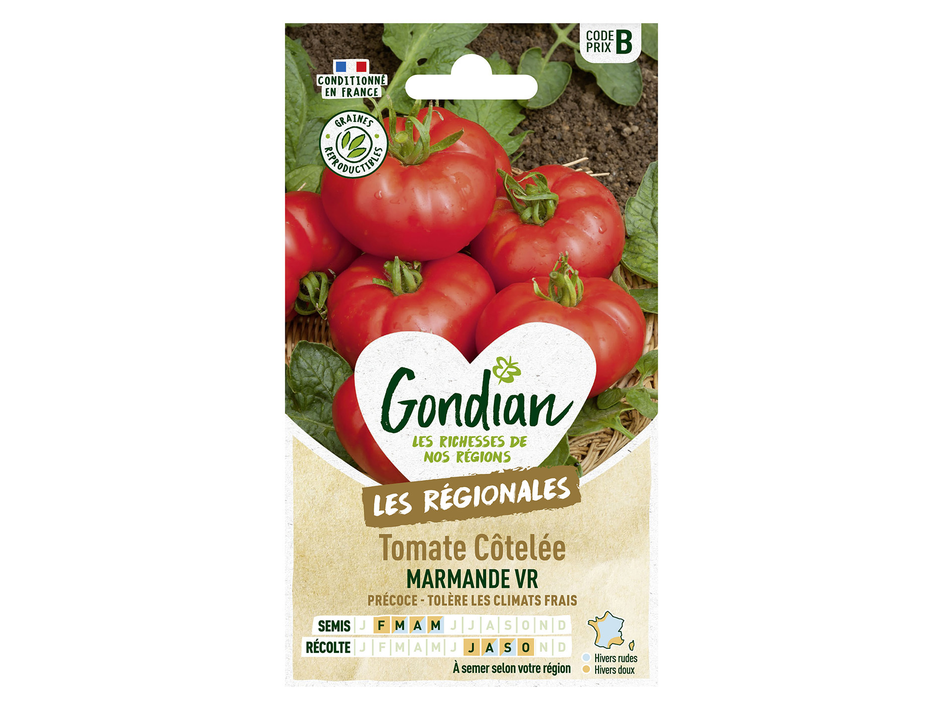 Tomate Marmande VR GONDIAN Série B