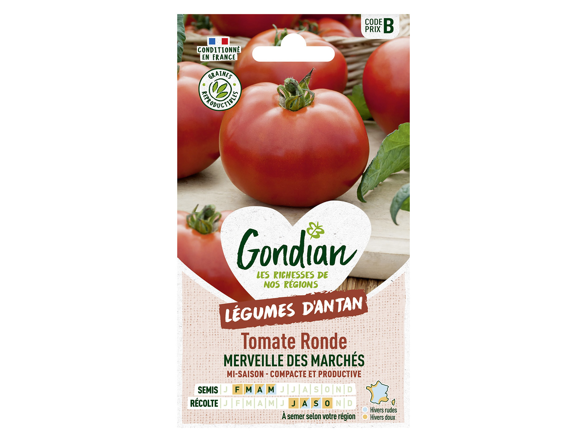 Tomate Merveille des Marchés GONDIAN Série B