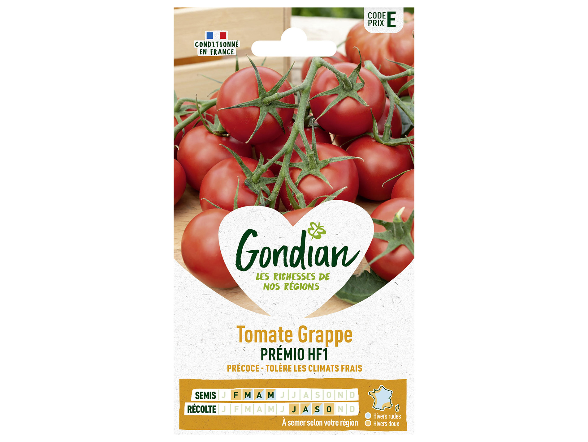 Tomate Premio HF1 GONDIAN Série E