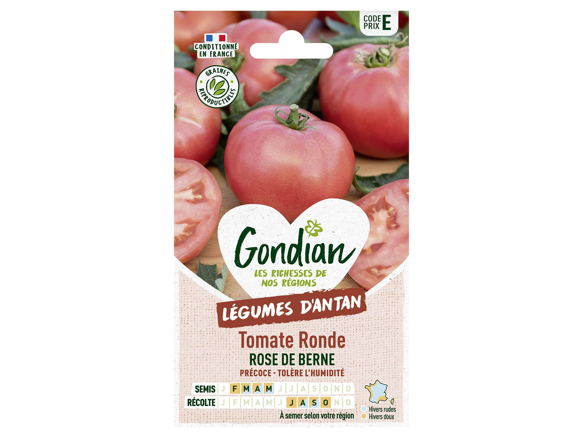 Tomate rose de Berne GONDIAN Série E