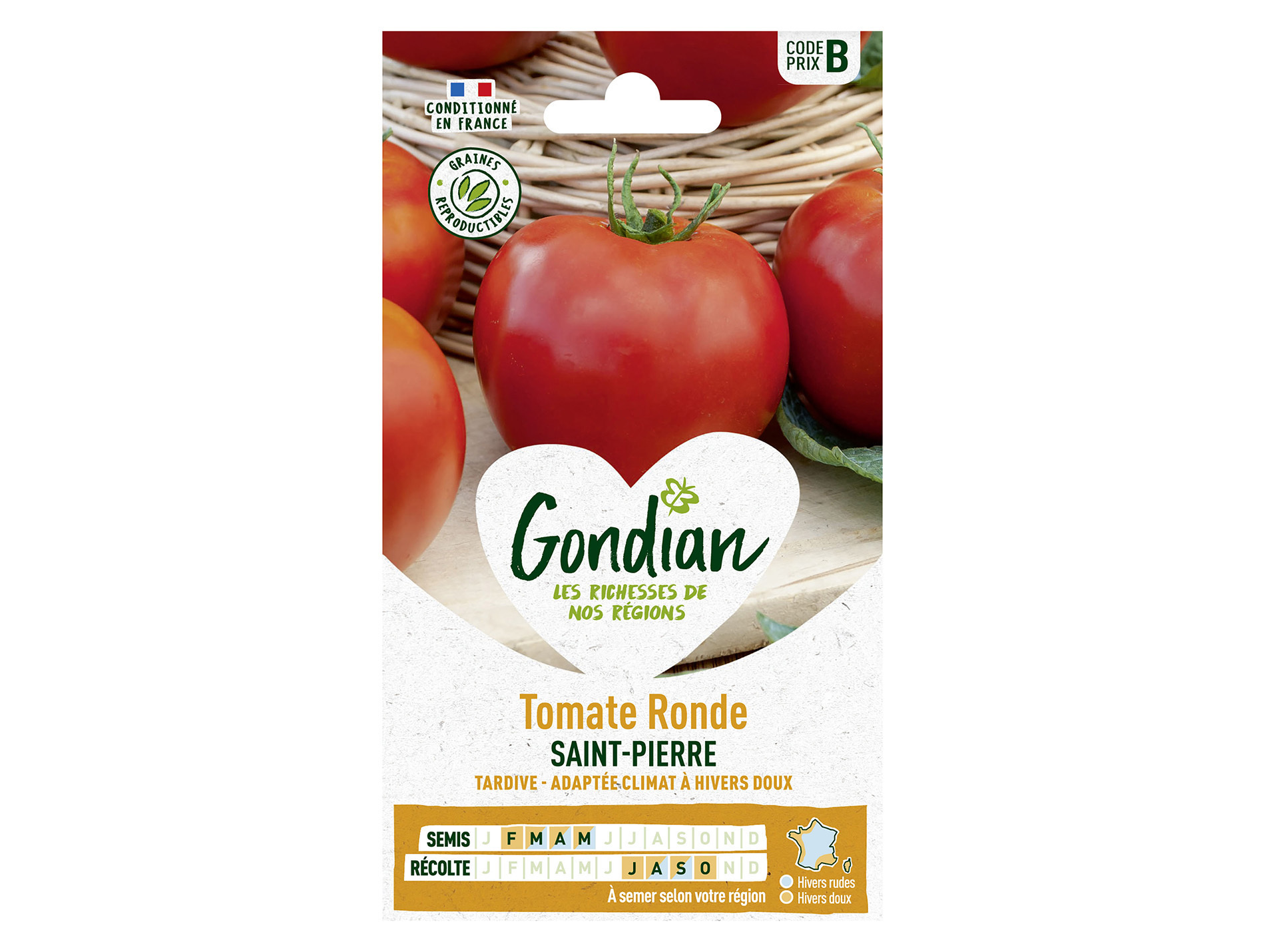 Tomate Saint Pierre GONDIAN Série B