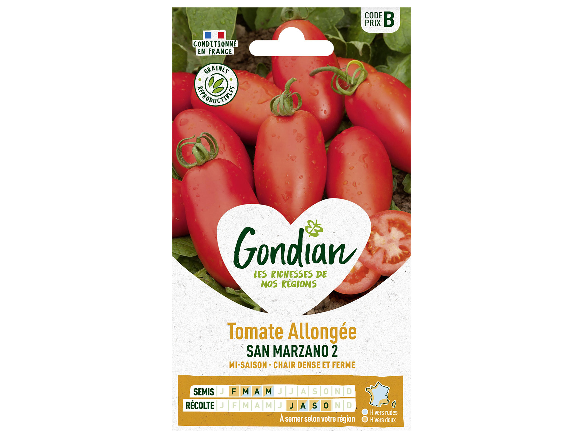 Tomate San Marzano 2 GONDIAN Série B