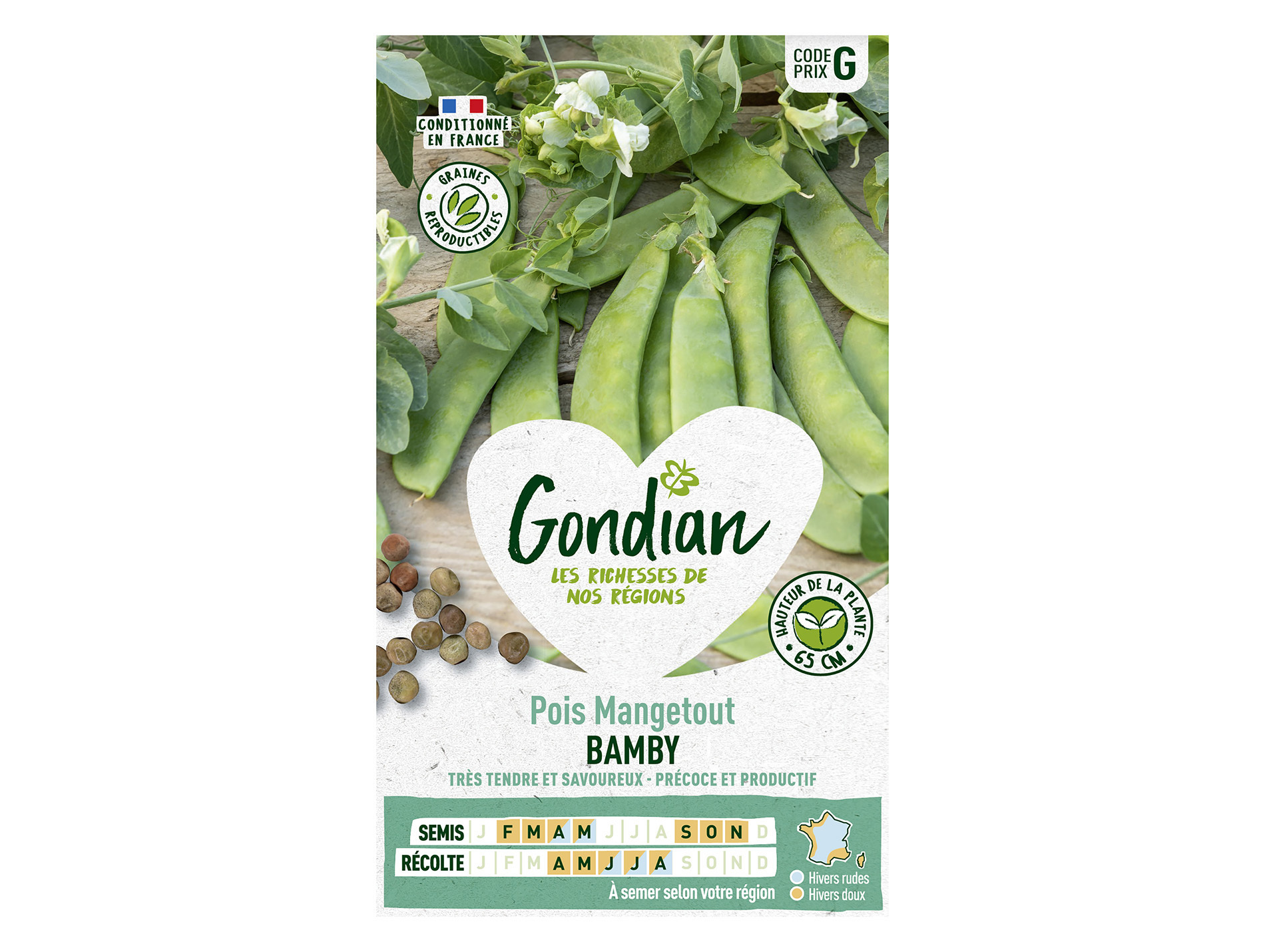 Pois nain Bamby GONDIAN Série G