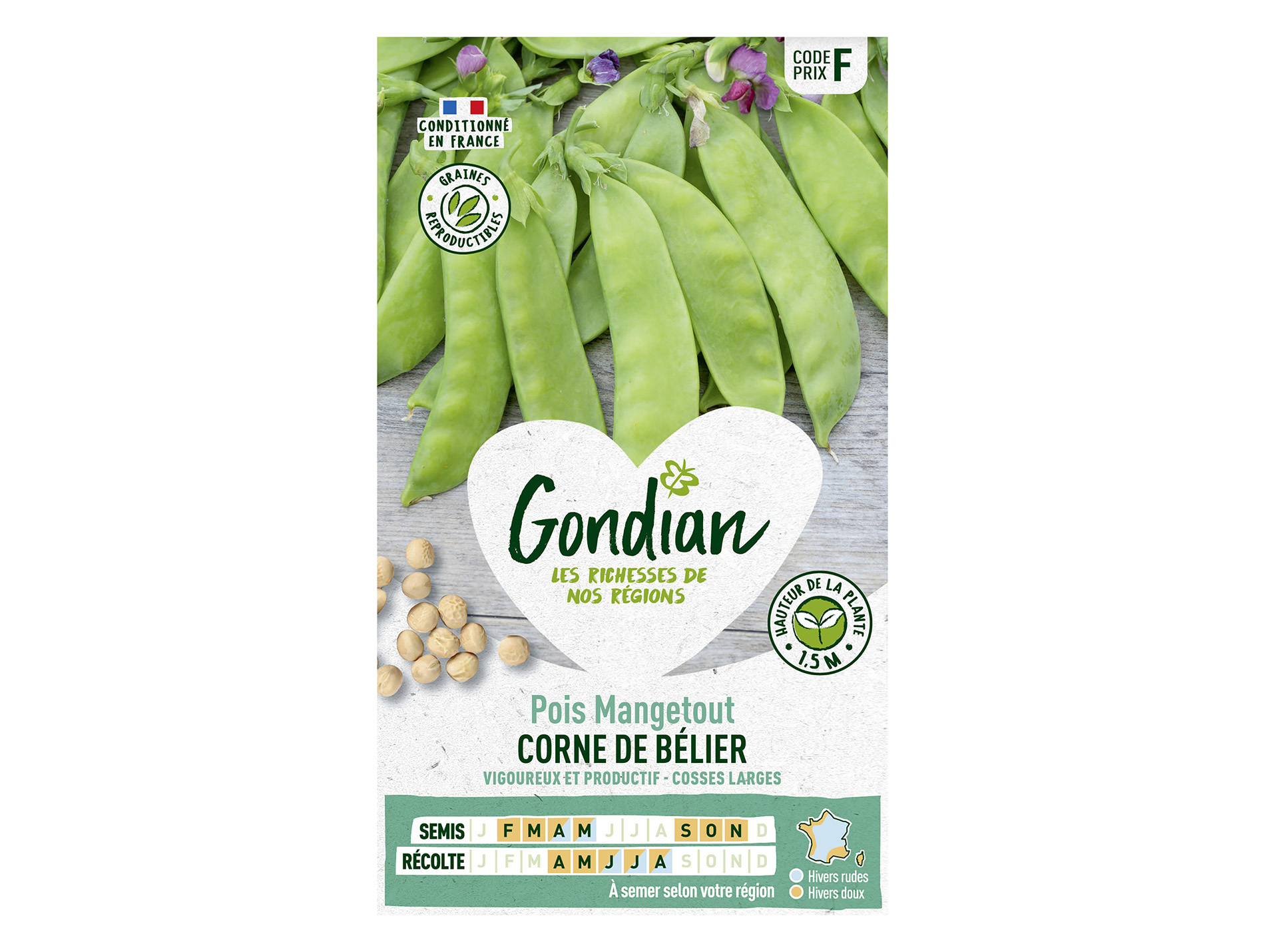Pois nain Corne de Bélier GONDIAN Série F