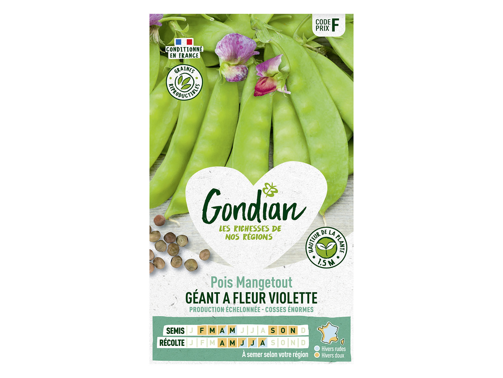 Pois Géant à fleur violette GONDIAN Série F