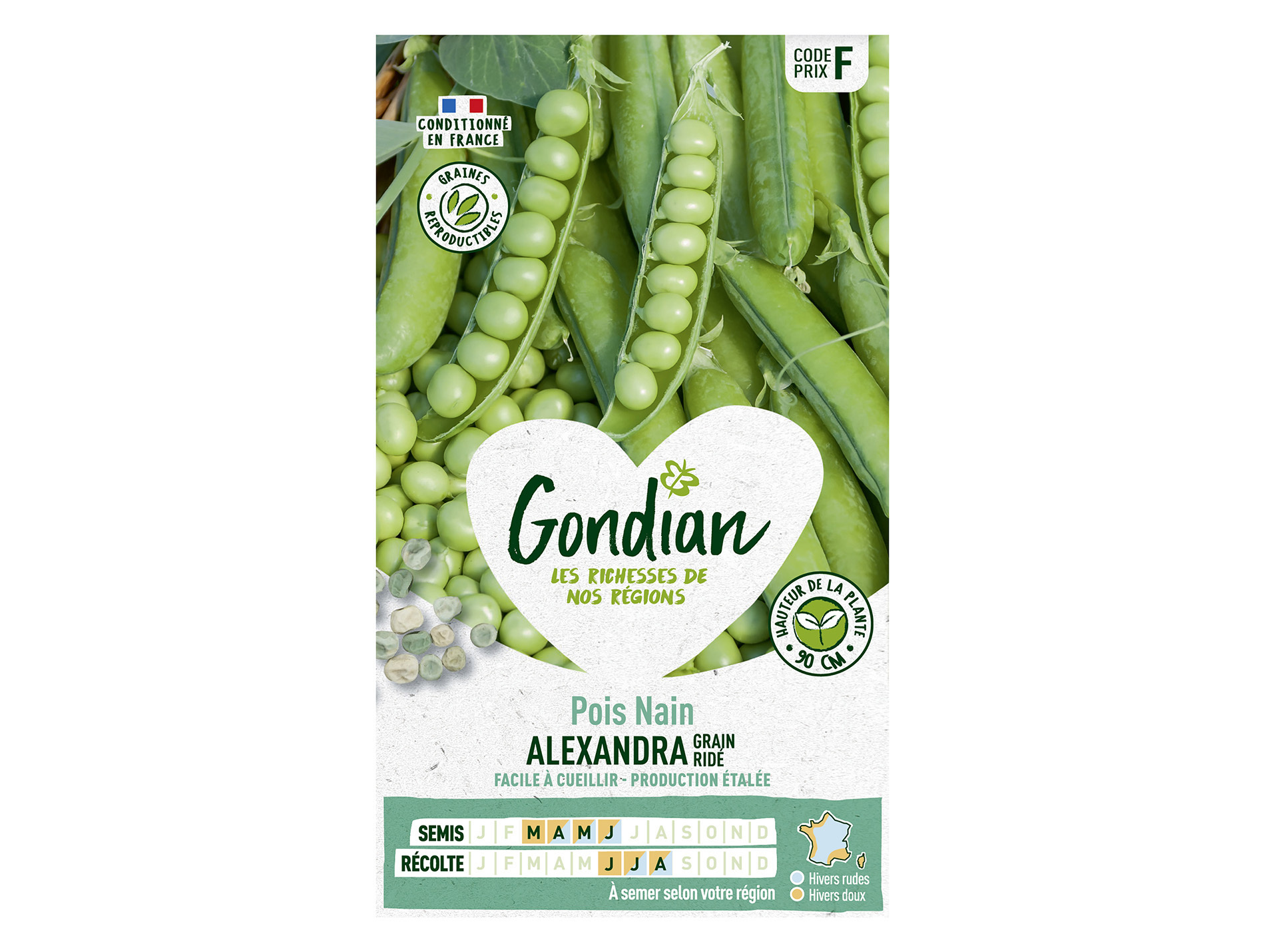 Pois nain Alexandre GONDIAN Série F